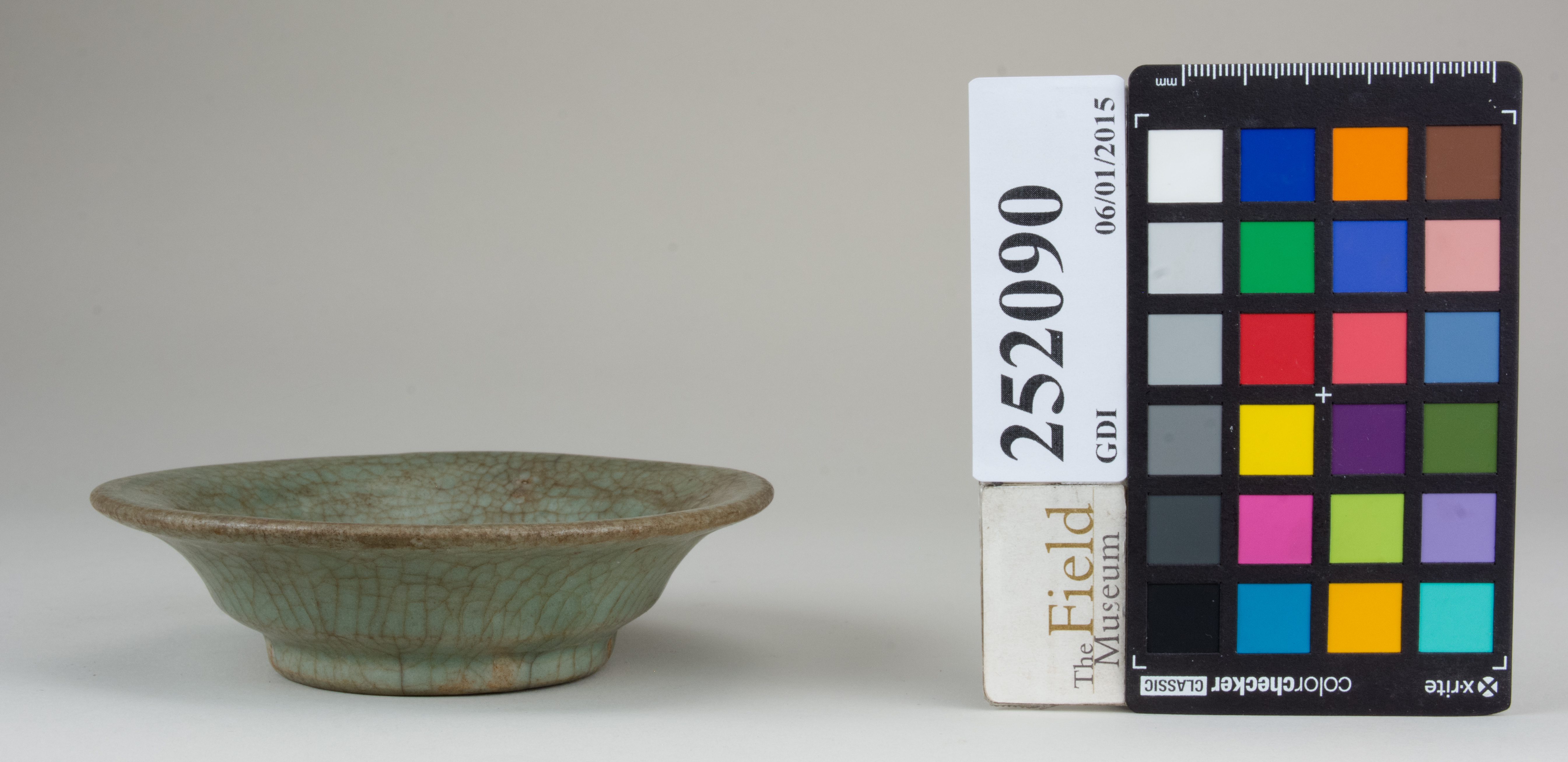 reference image, back 