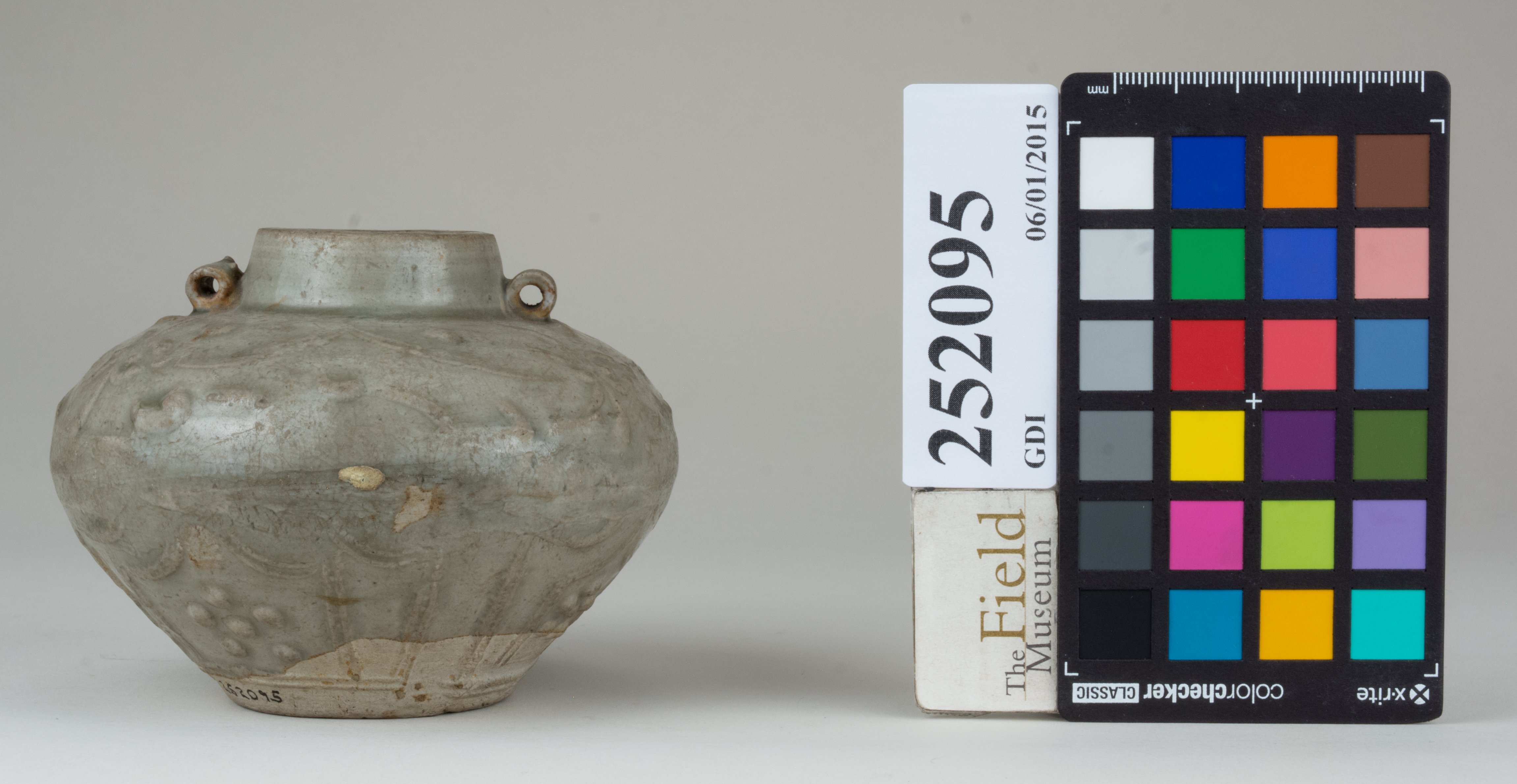 reference image, back 