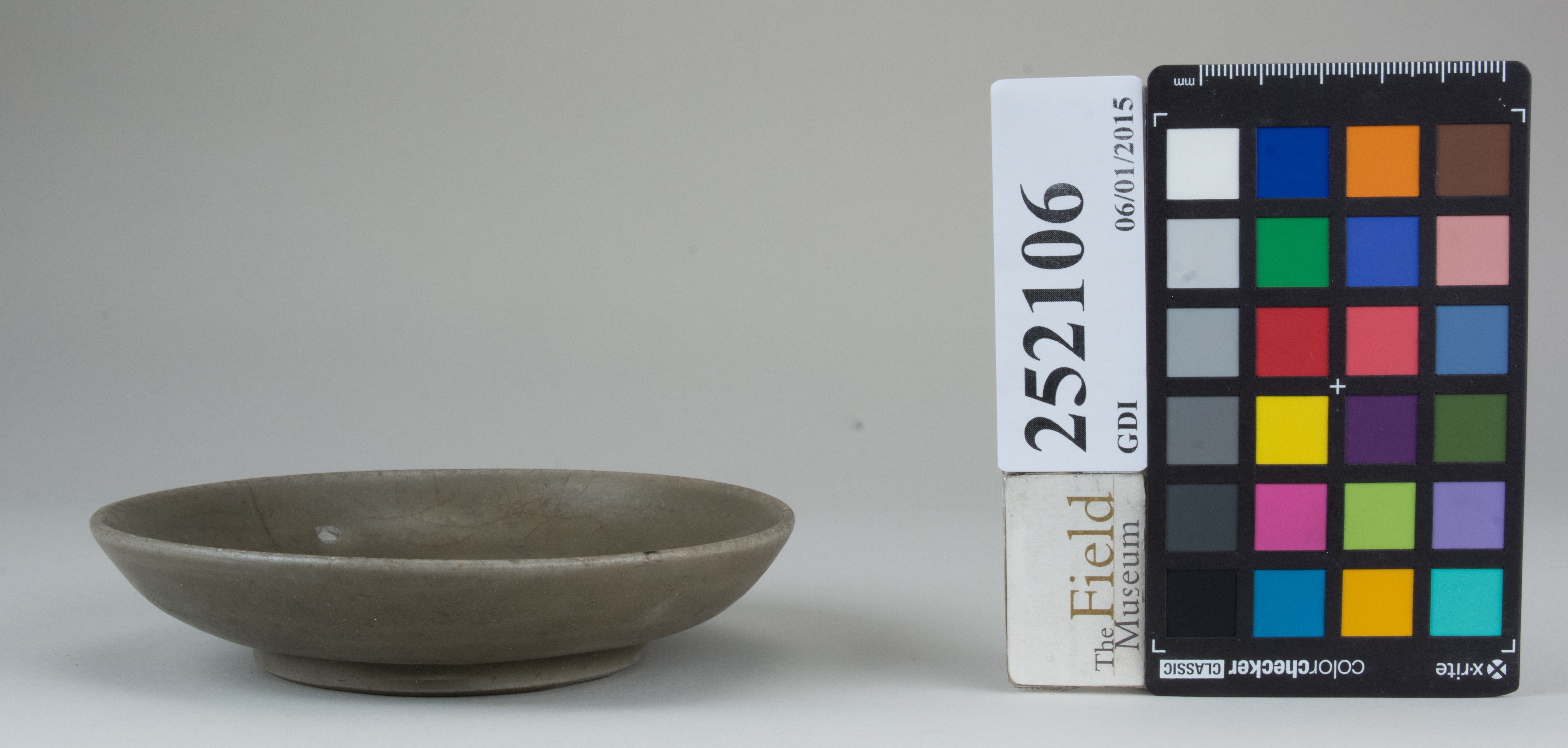 reference image, back 