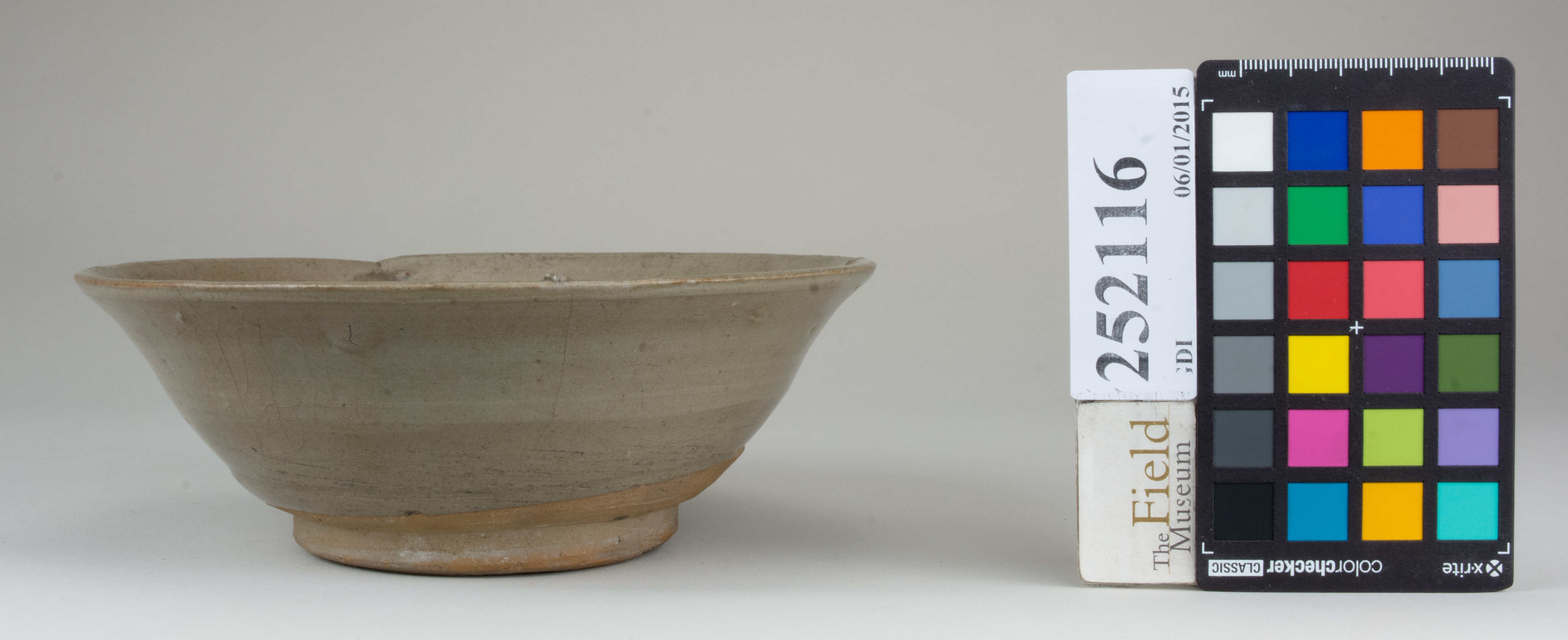 reference image, back 