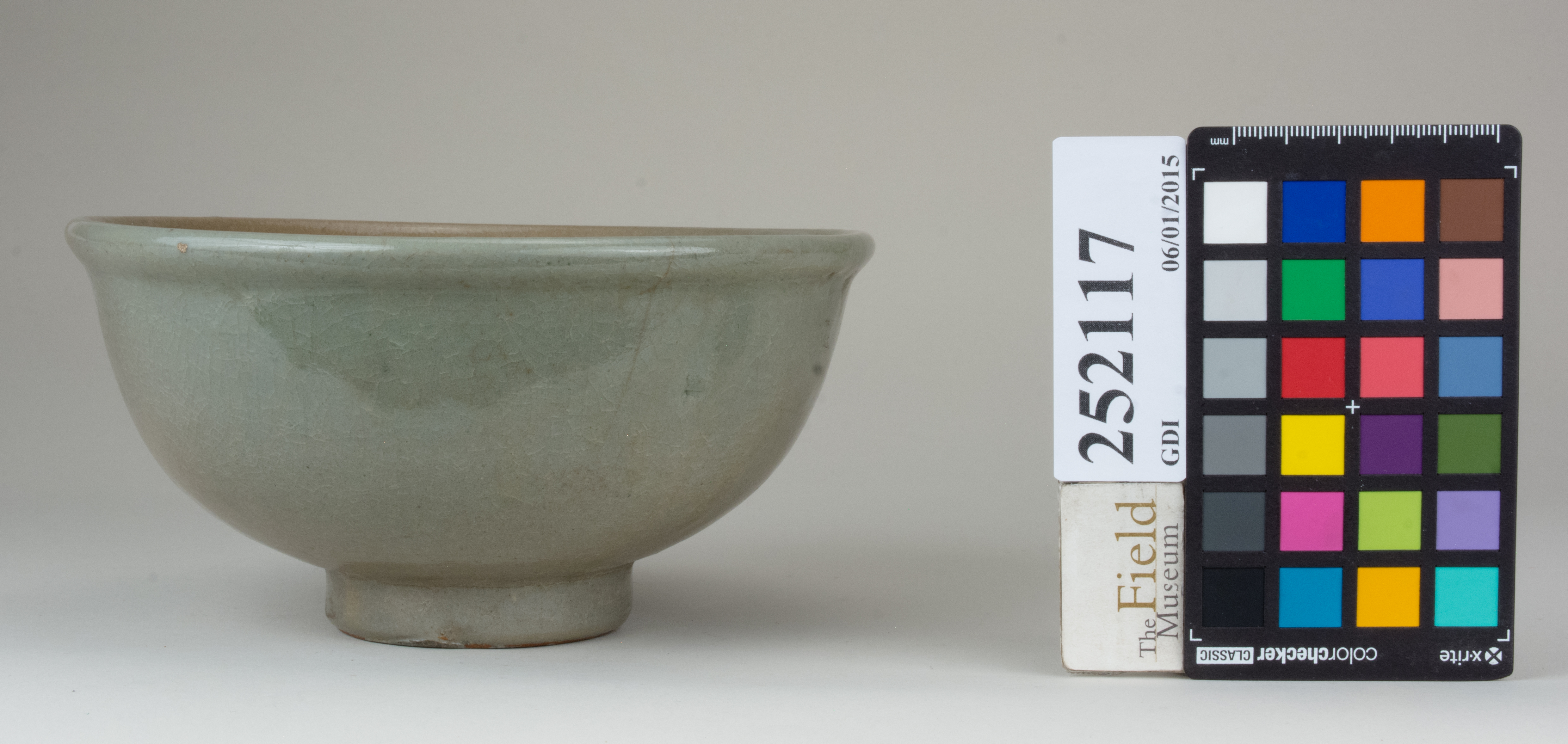 reference image, back 