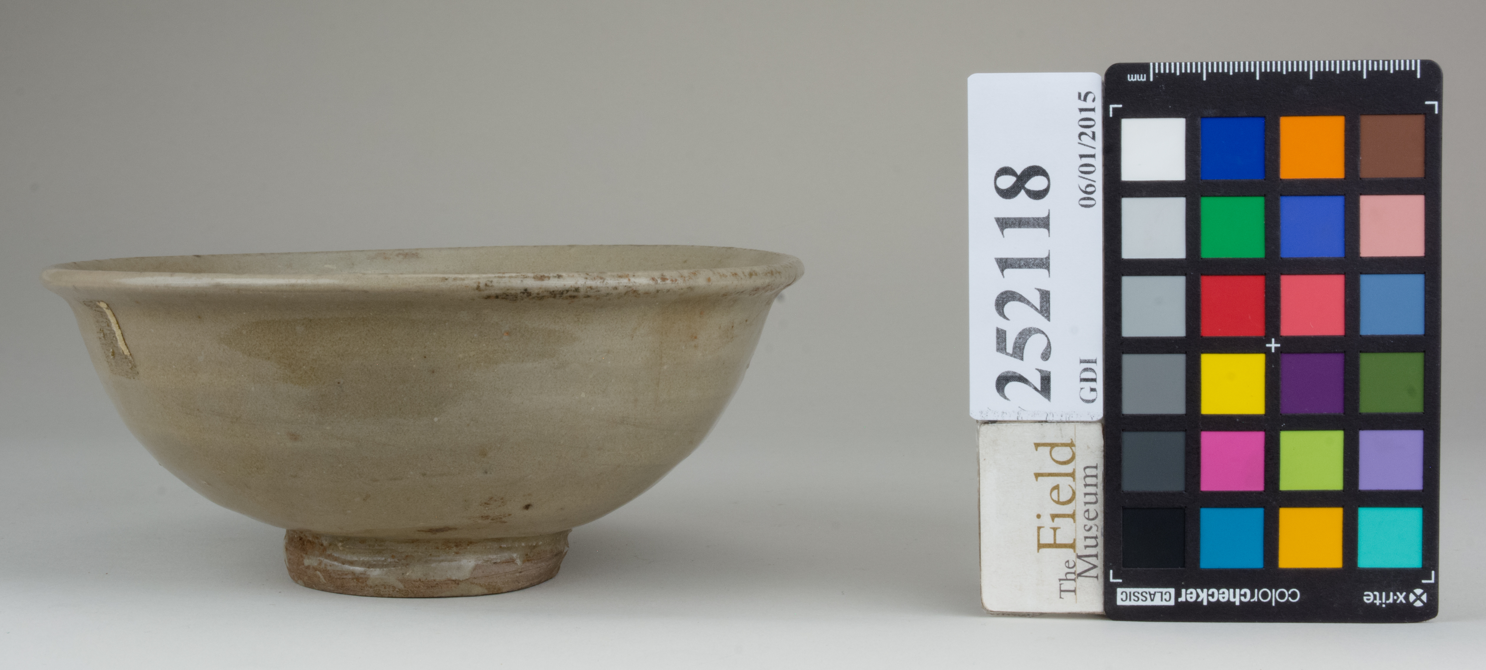 reference image, back 