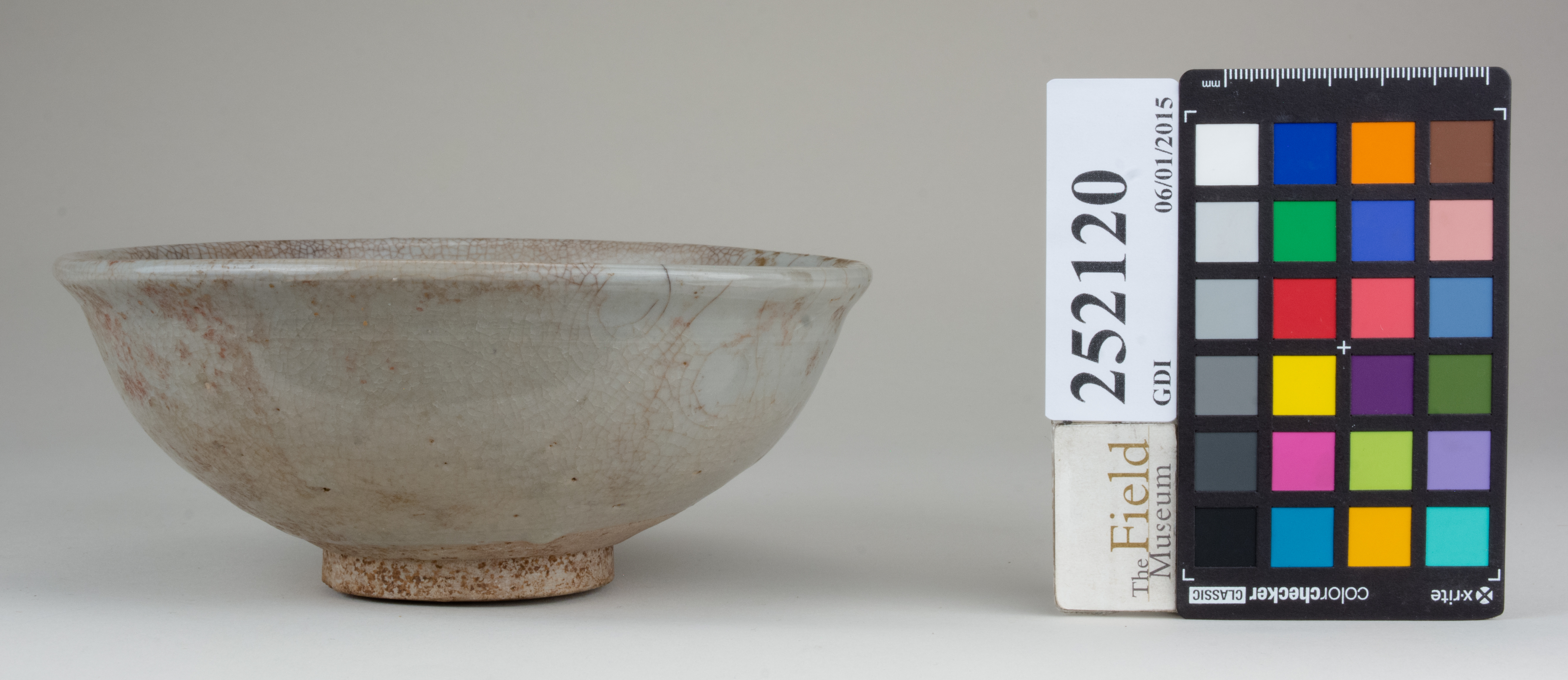 reference image, back 