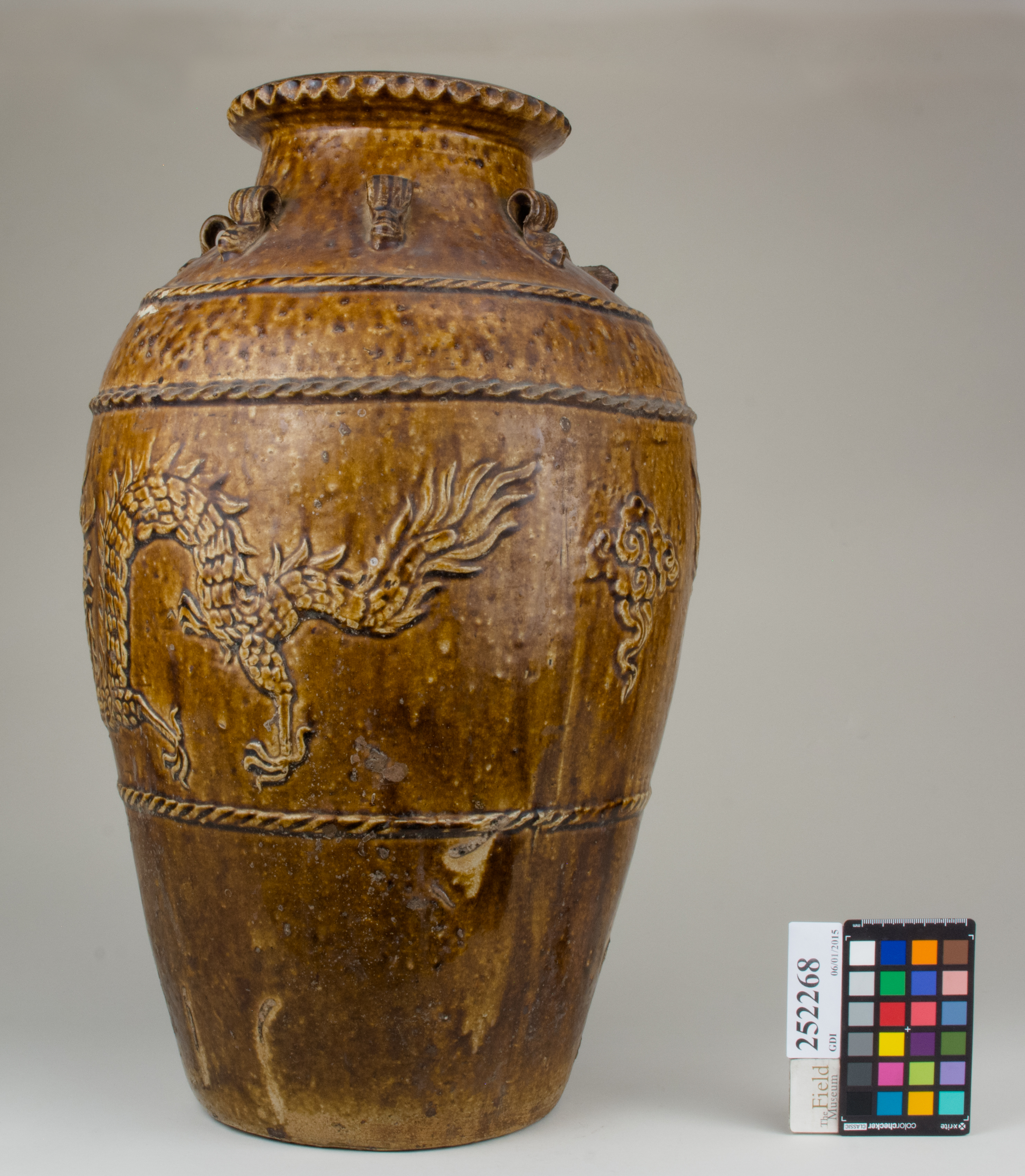 reference image, back 