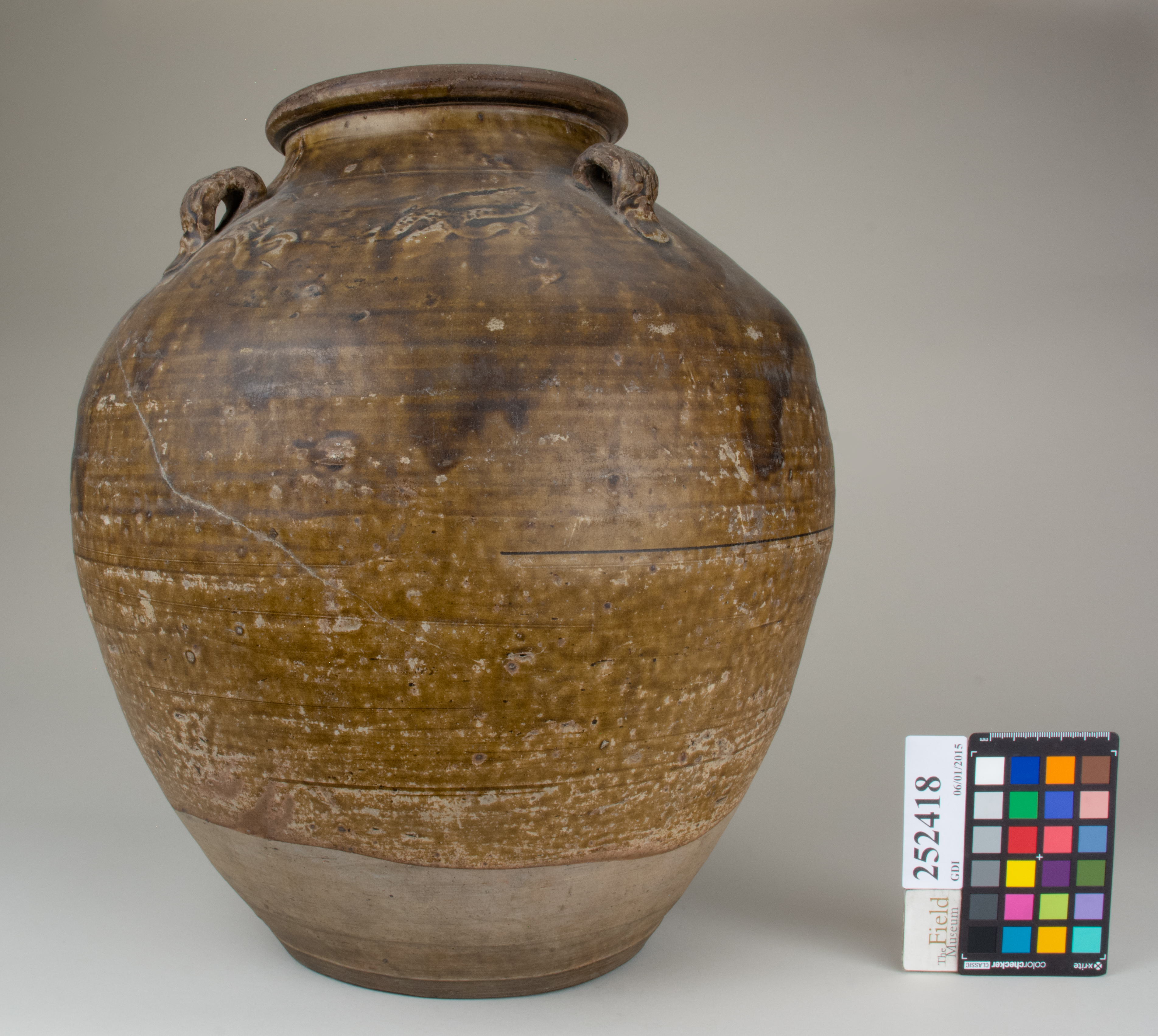 reference image, back 