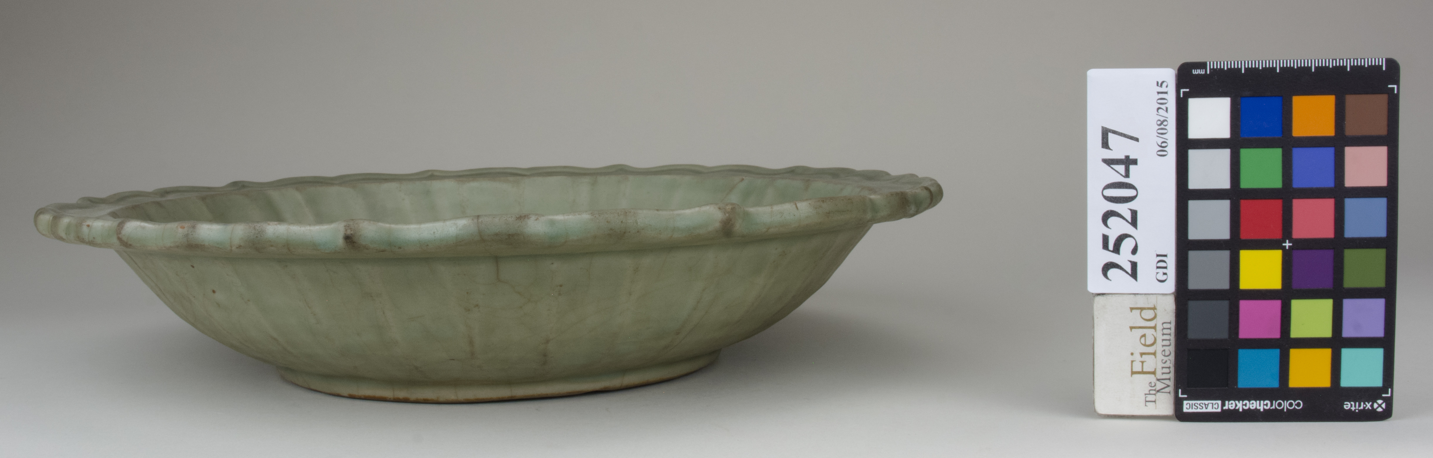 reference image, back 