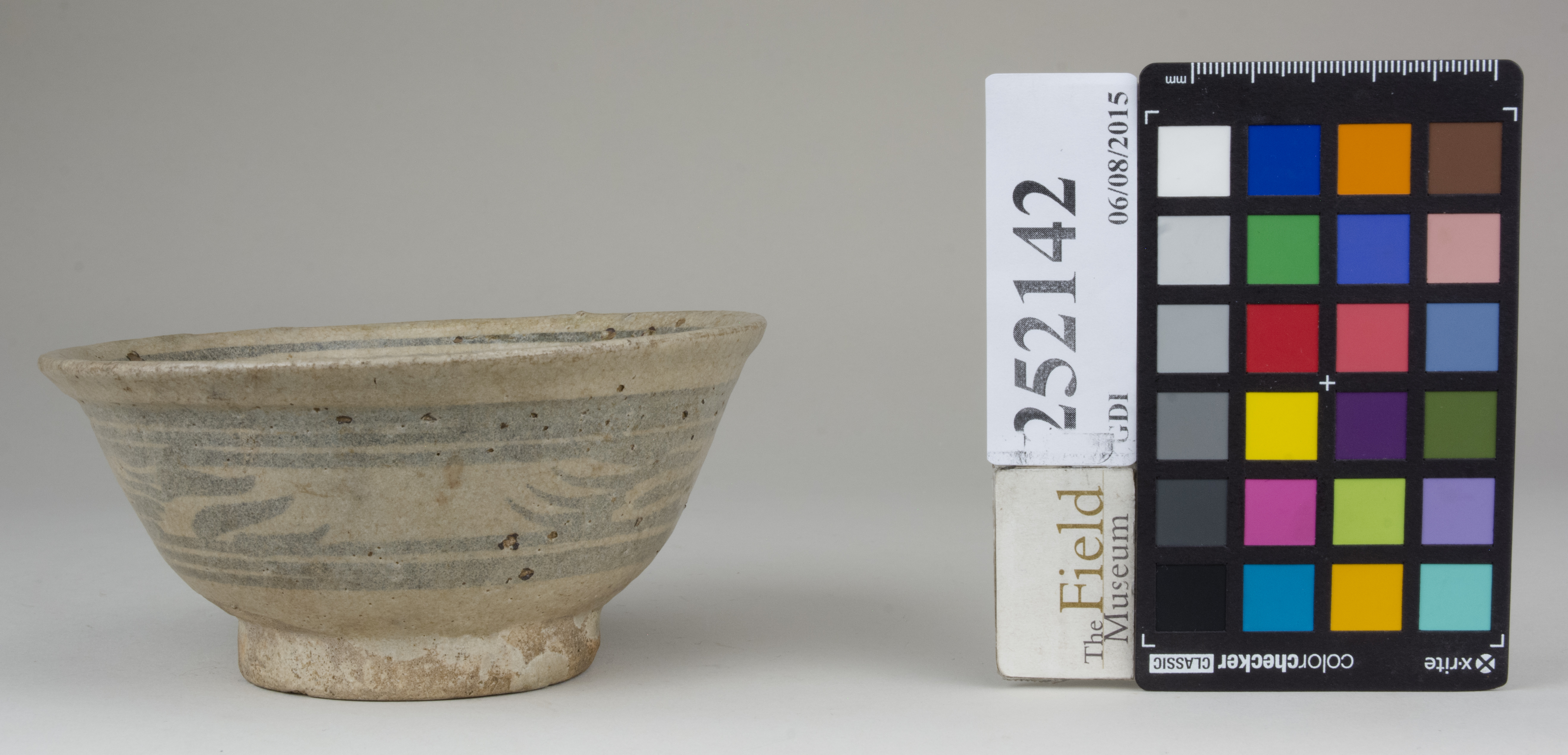 reference image, back 