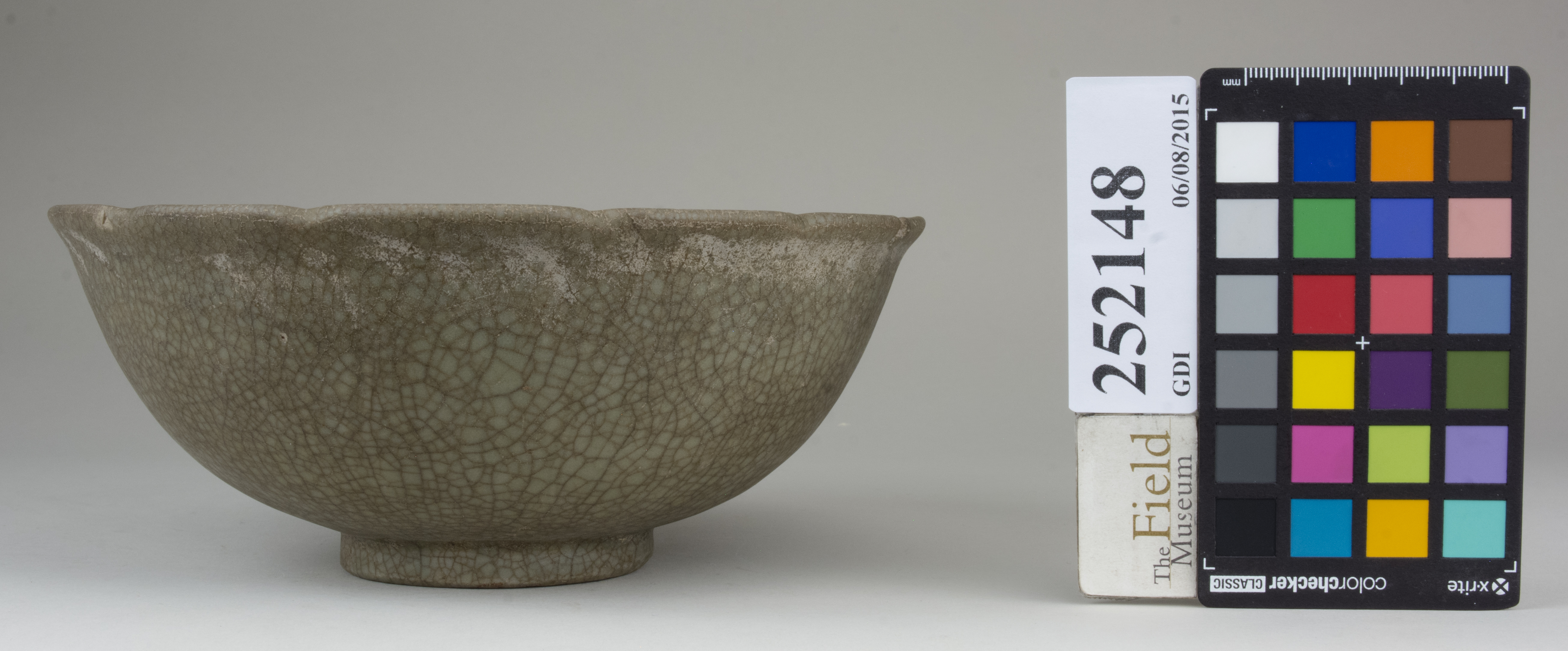 reference image, back 