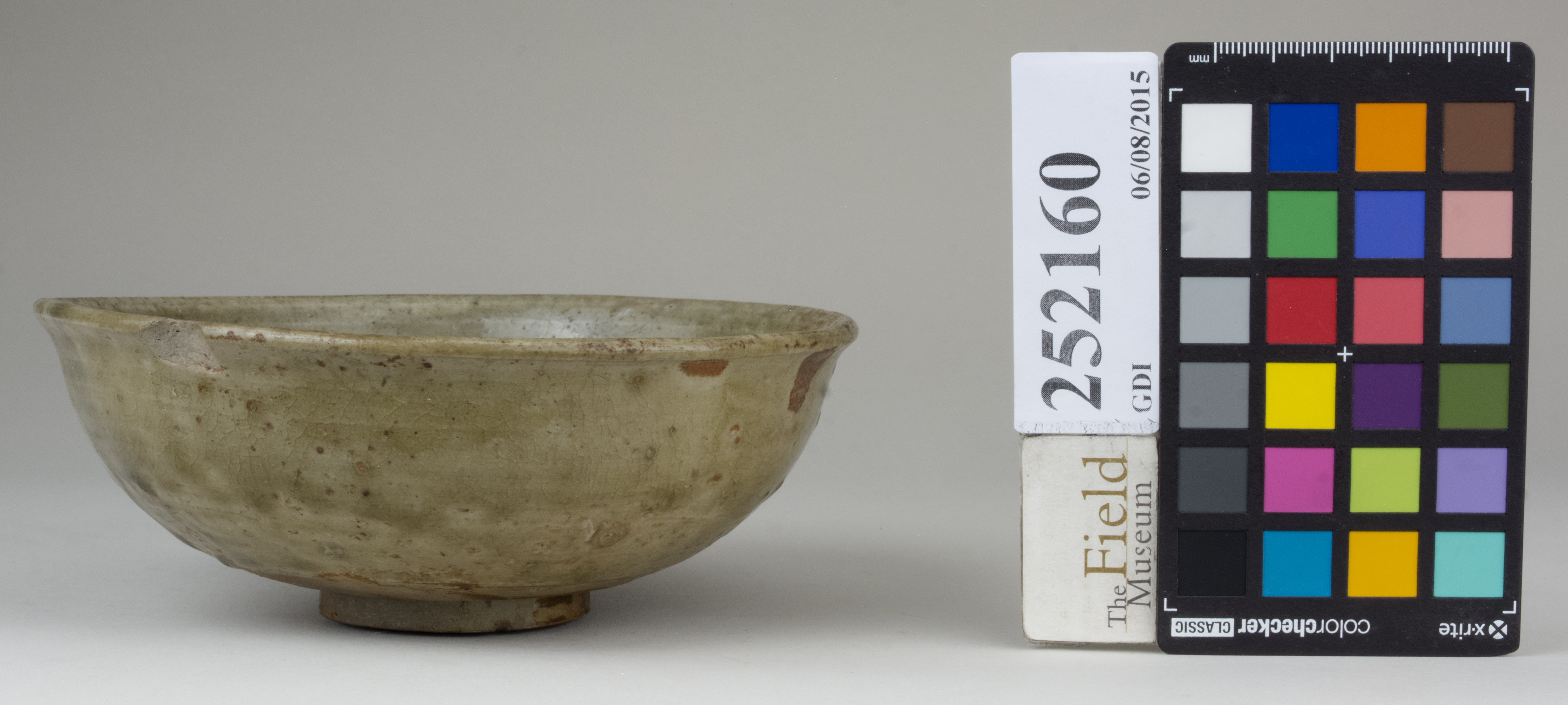 reference image, back 