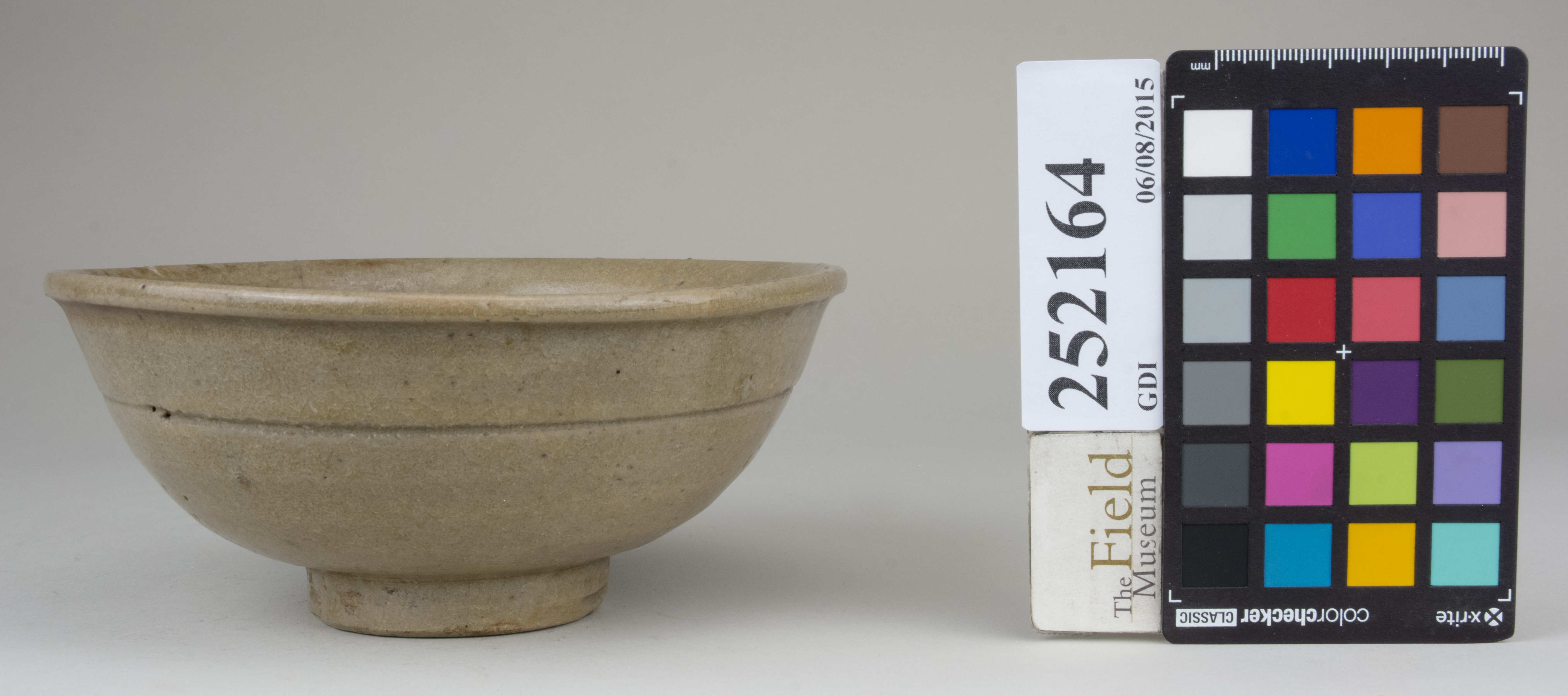 reference image, back 