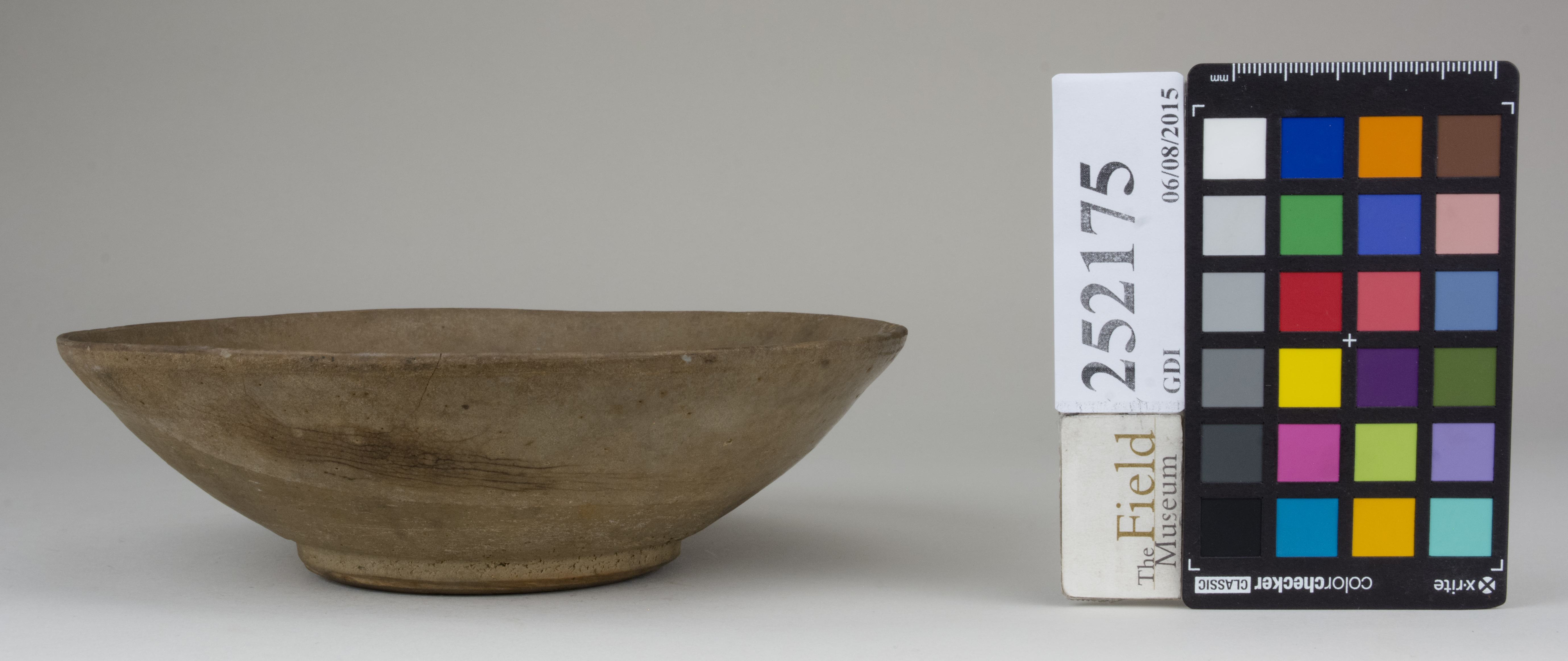 reference image, back 