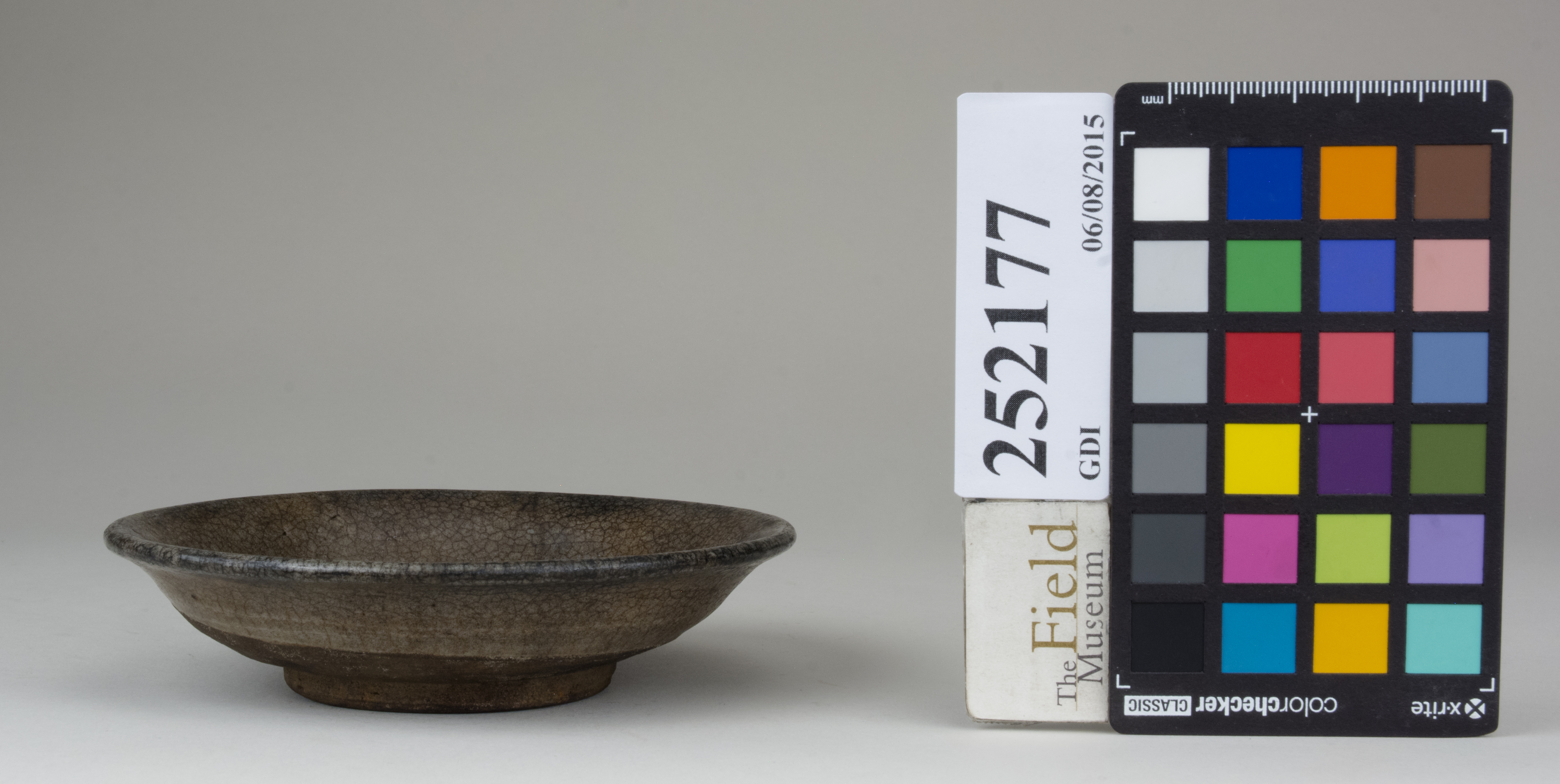 reference image, back 