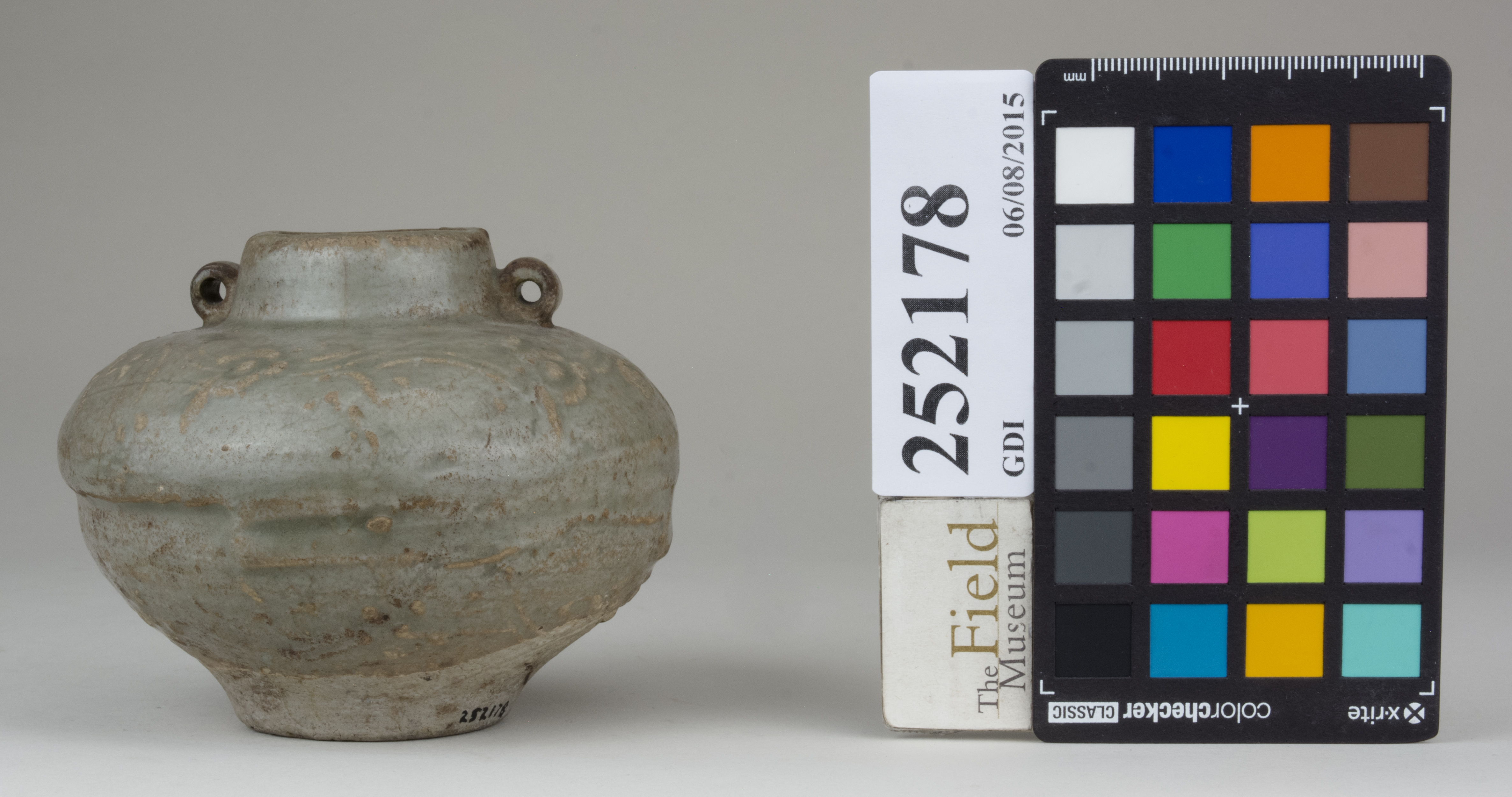 reference image, back 