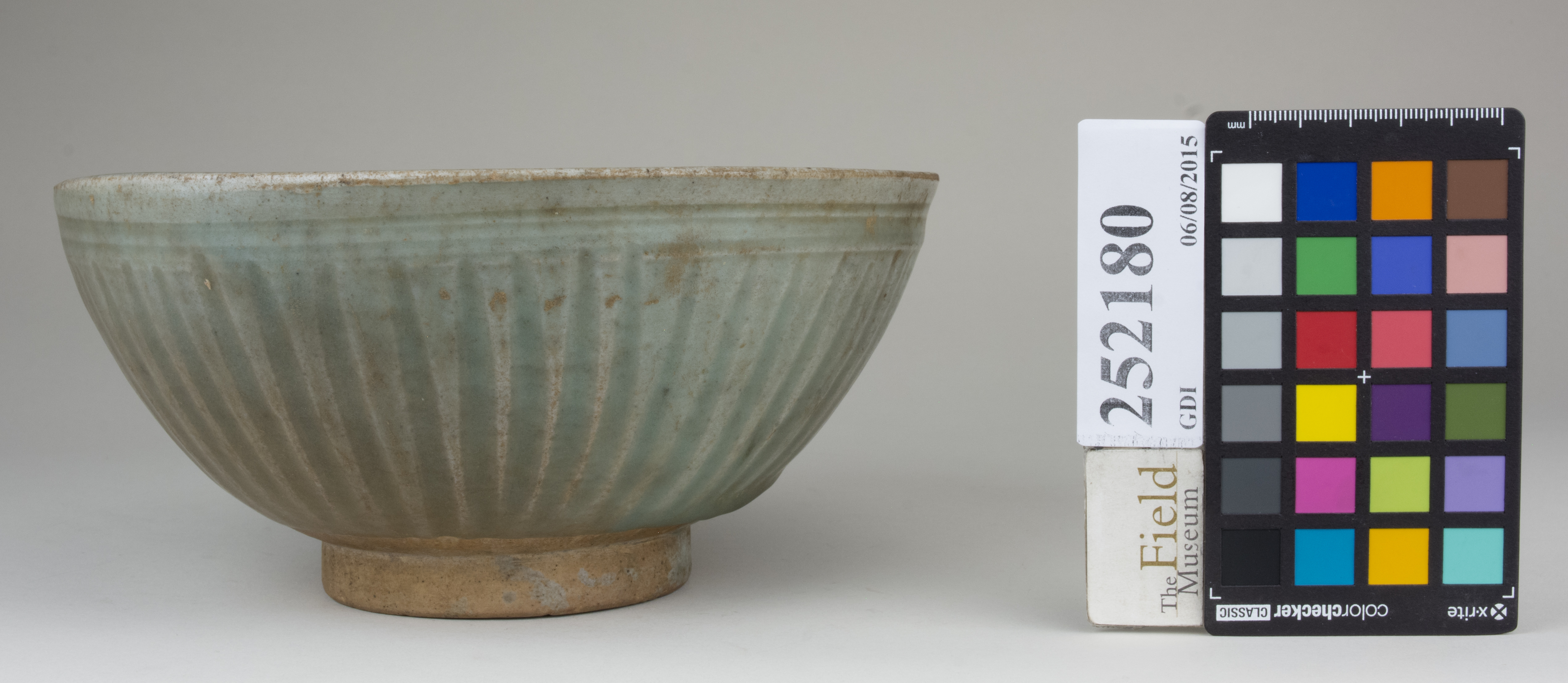 reference image, back 