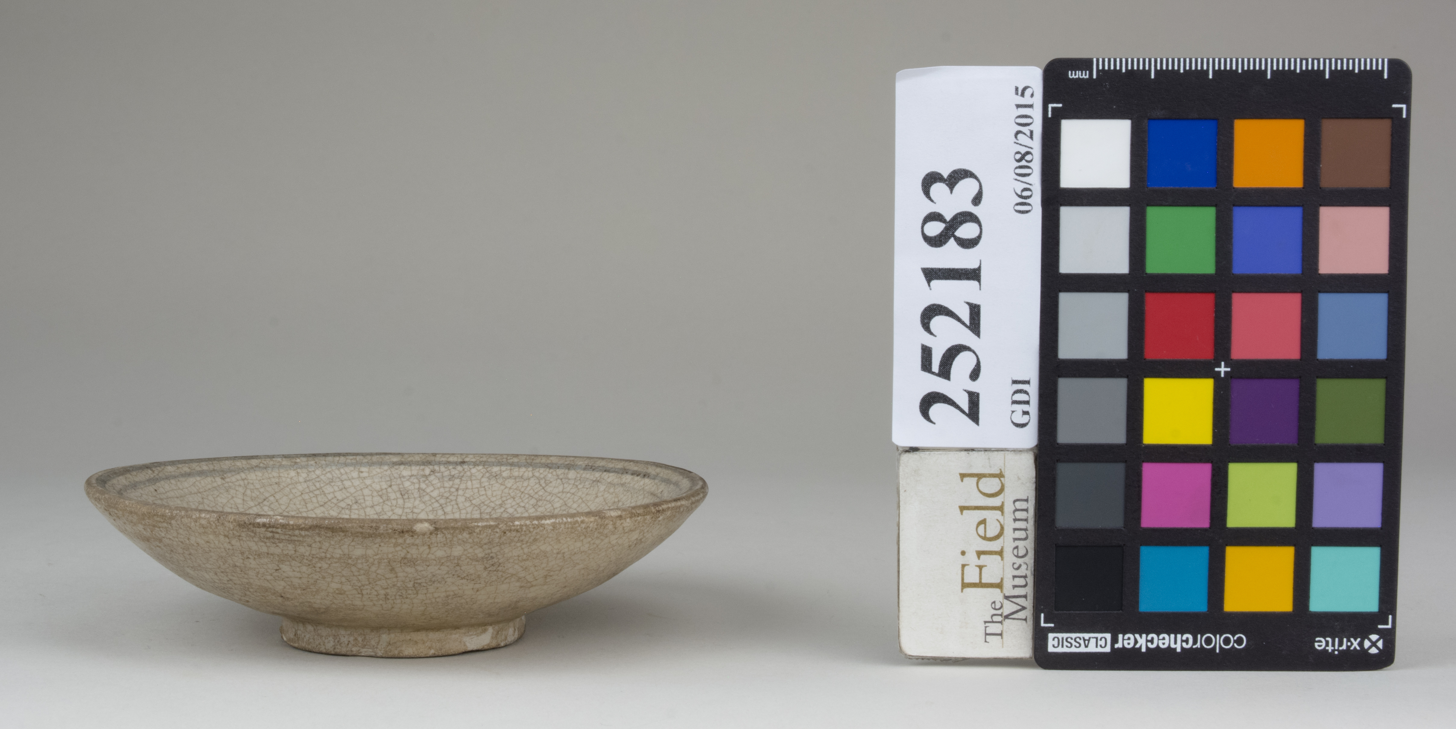 reference image, back 