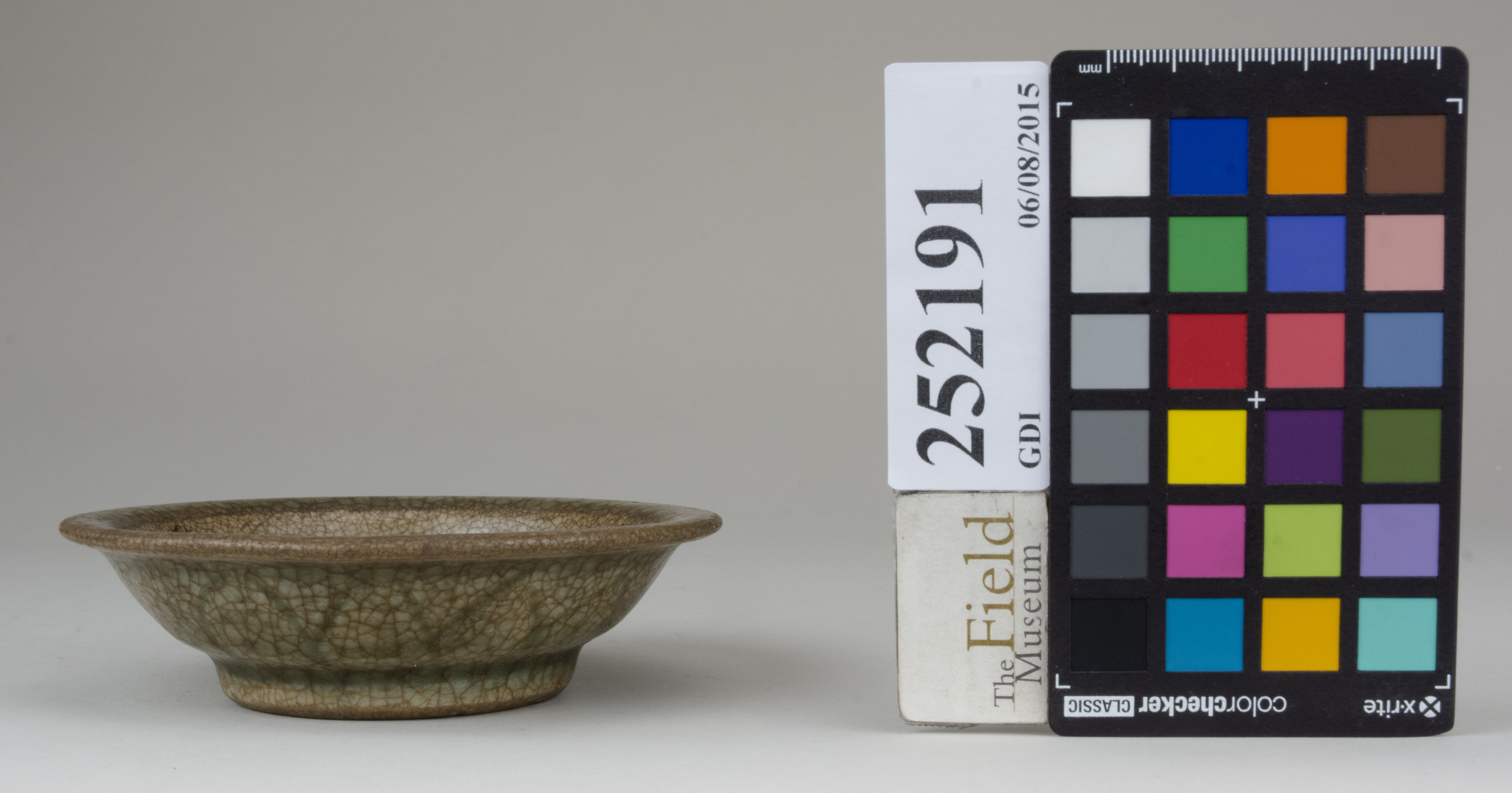 reference image, back 