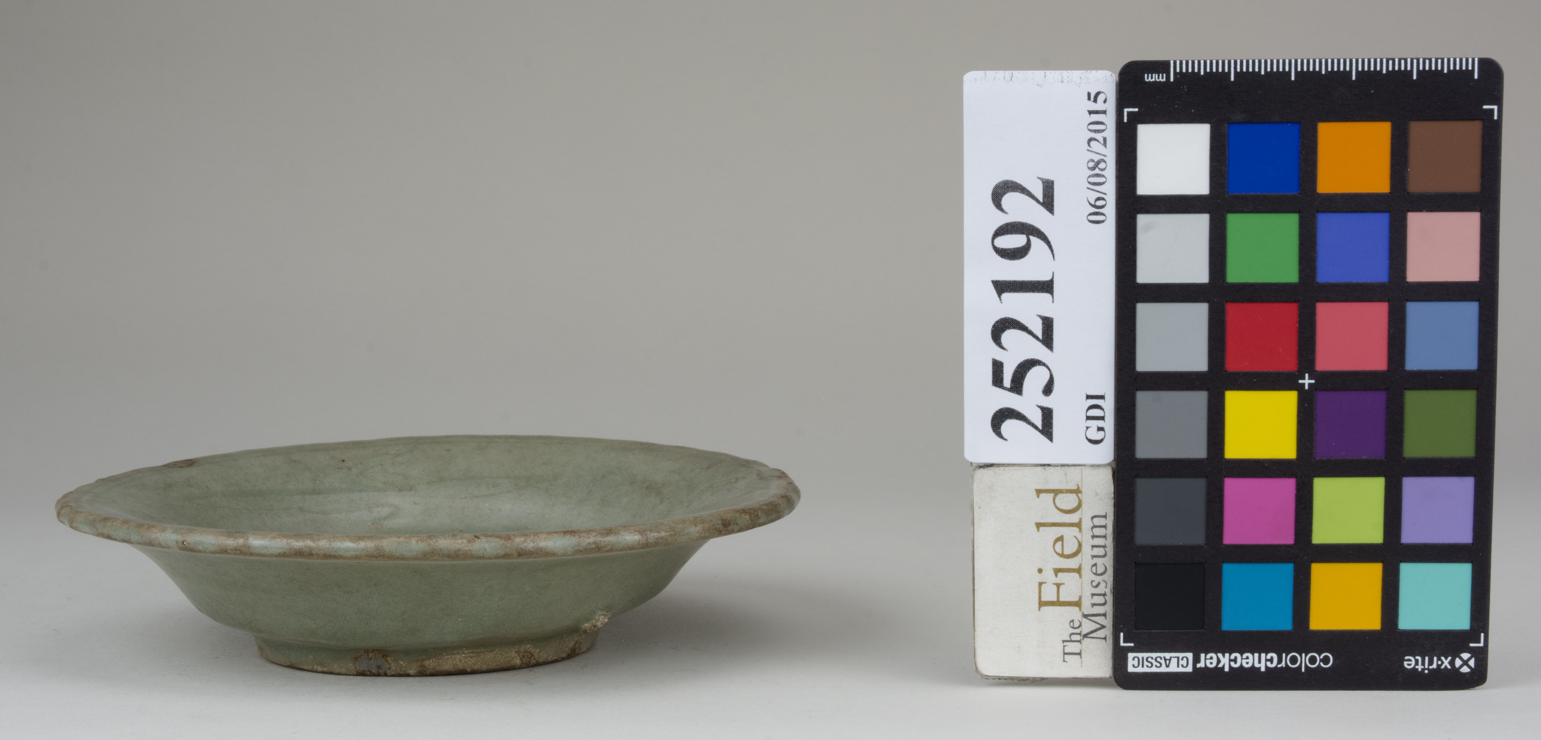 reference image, back 