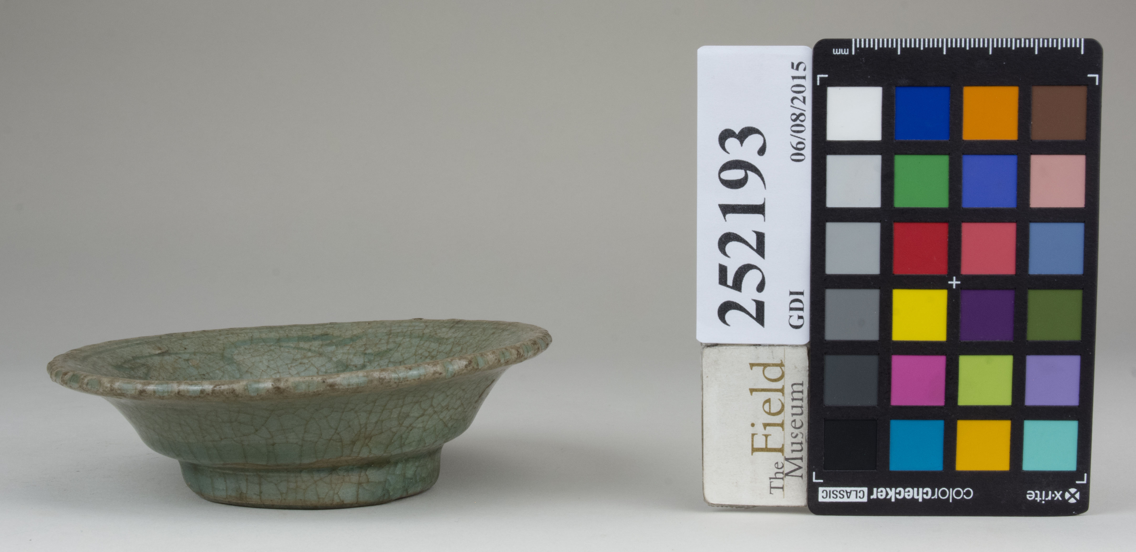 reference image, back 