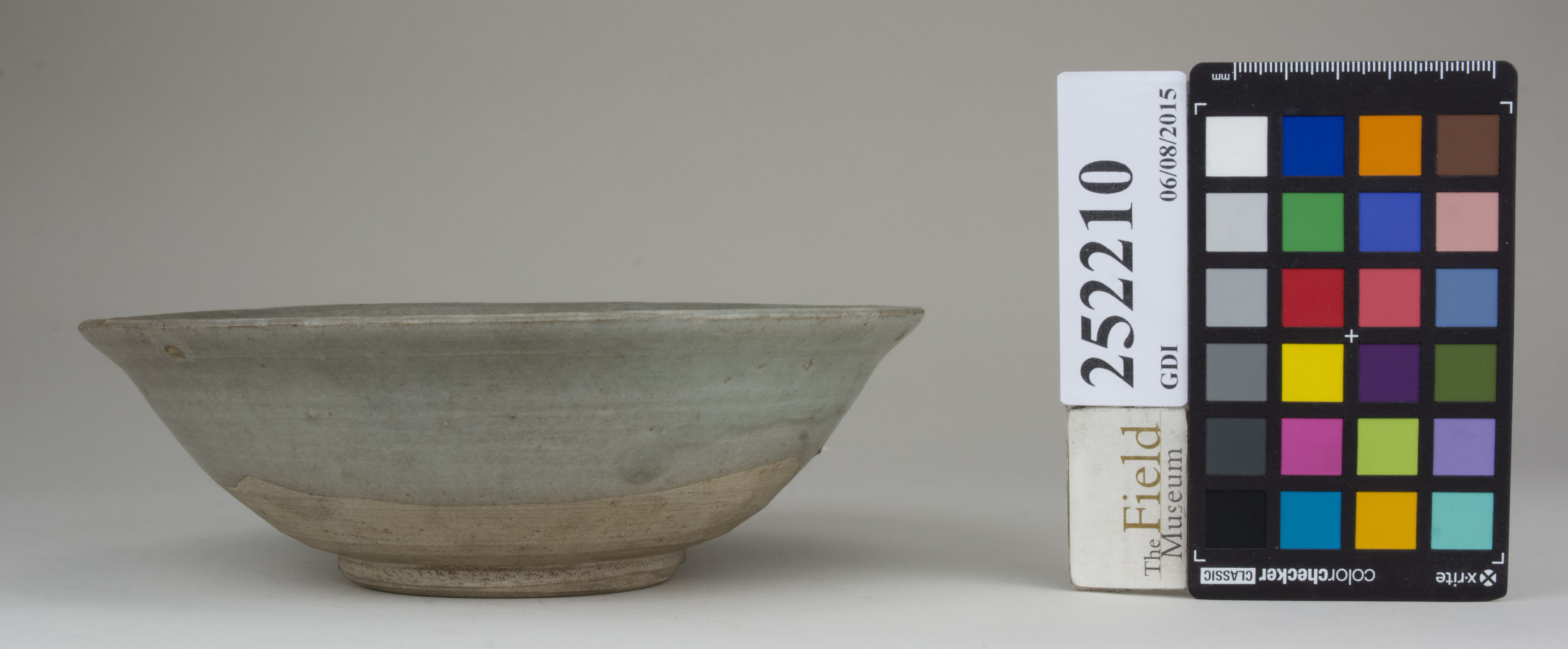 reference image, back 