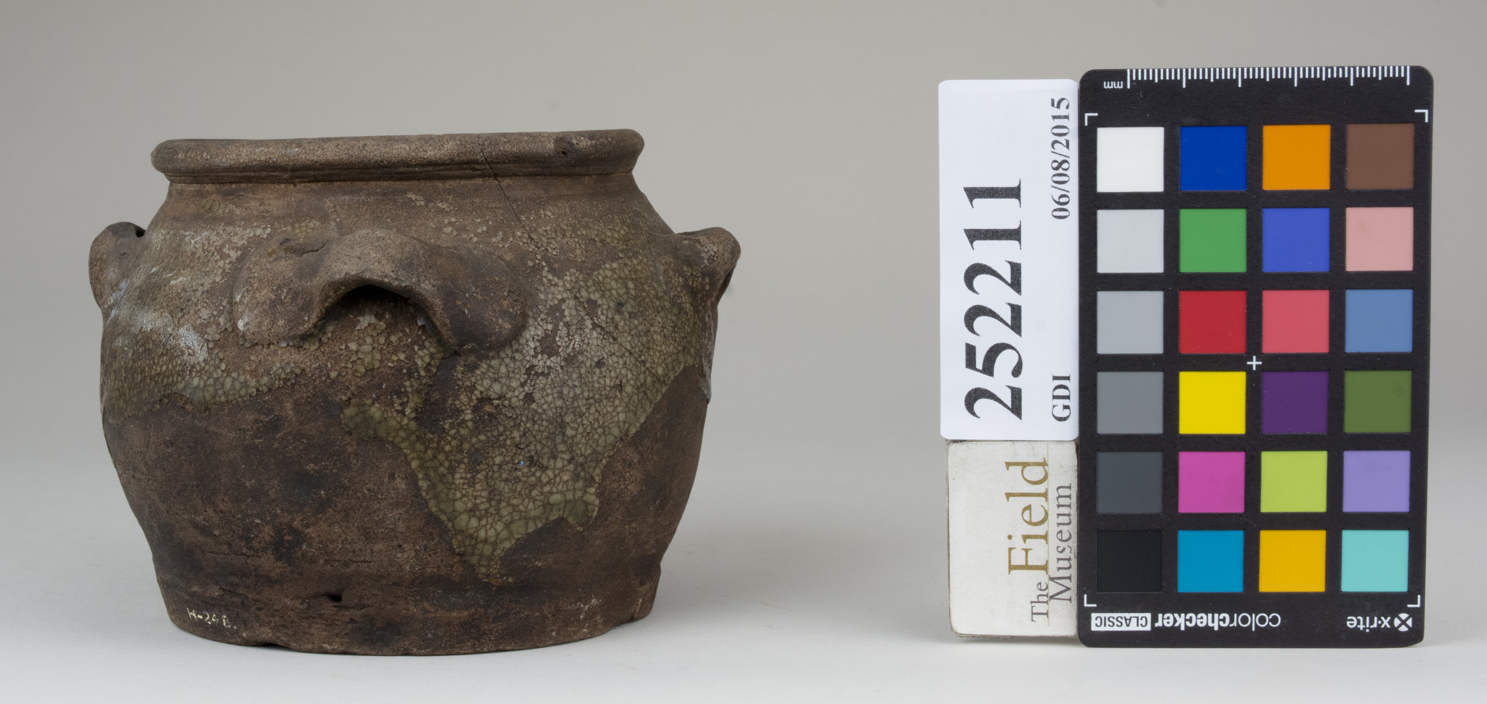 reference image, back 