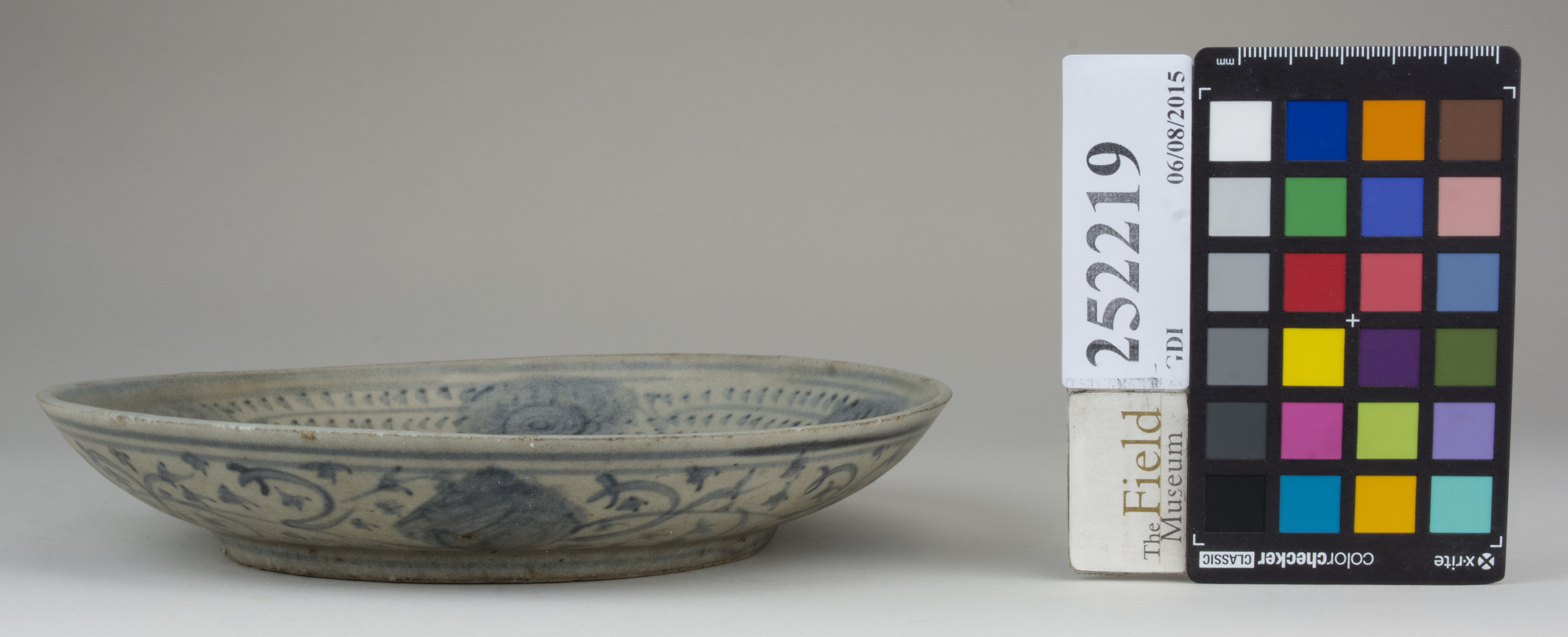 reference image, back 