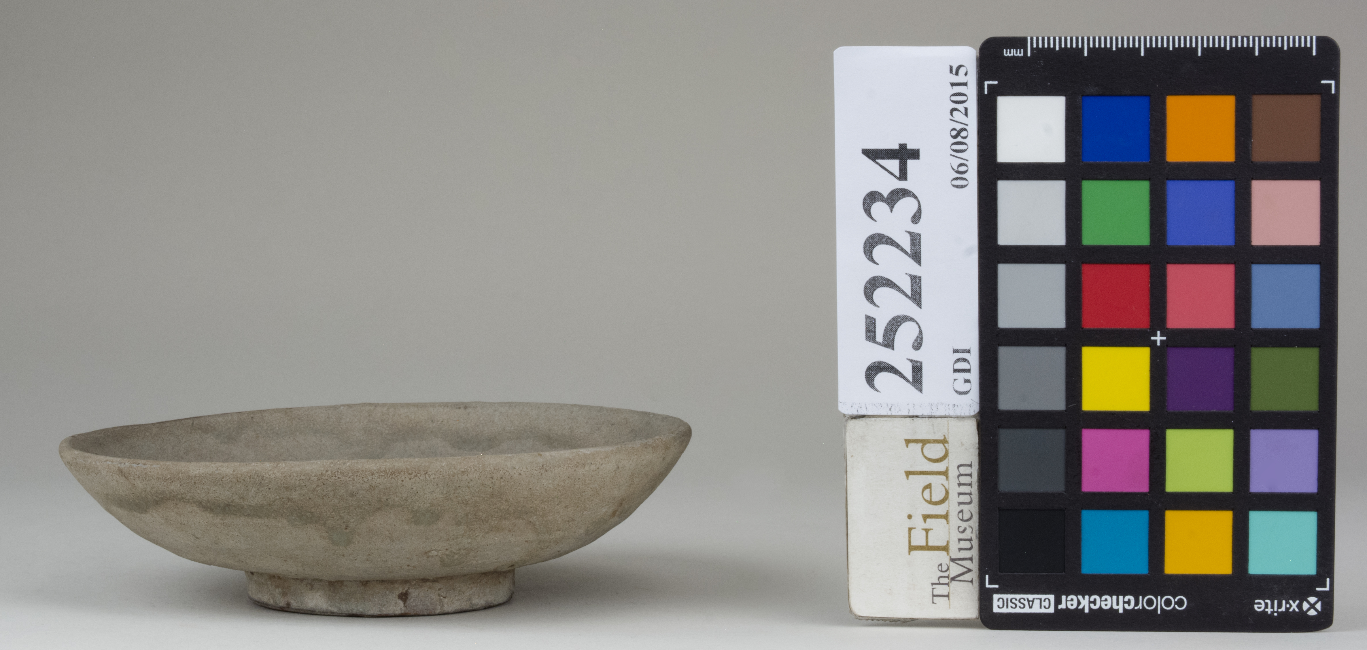 reference image, back 