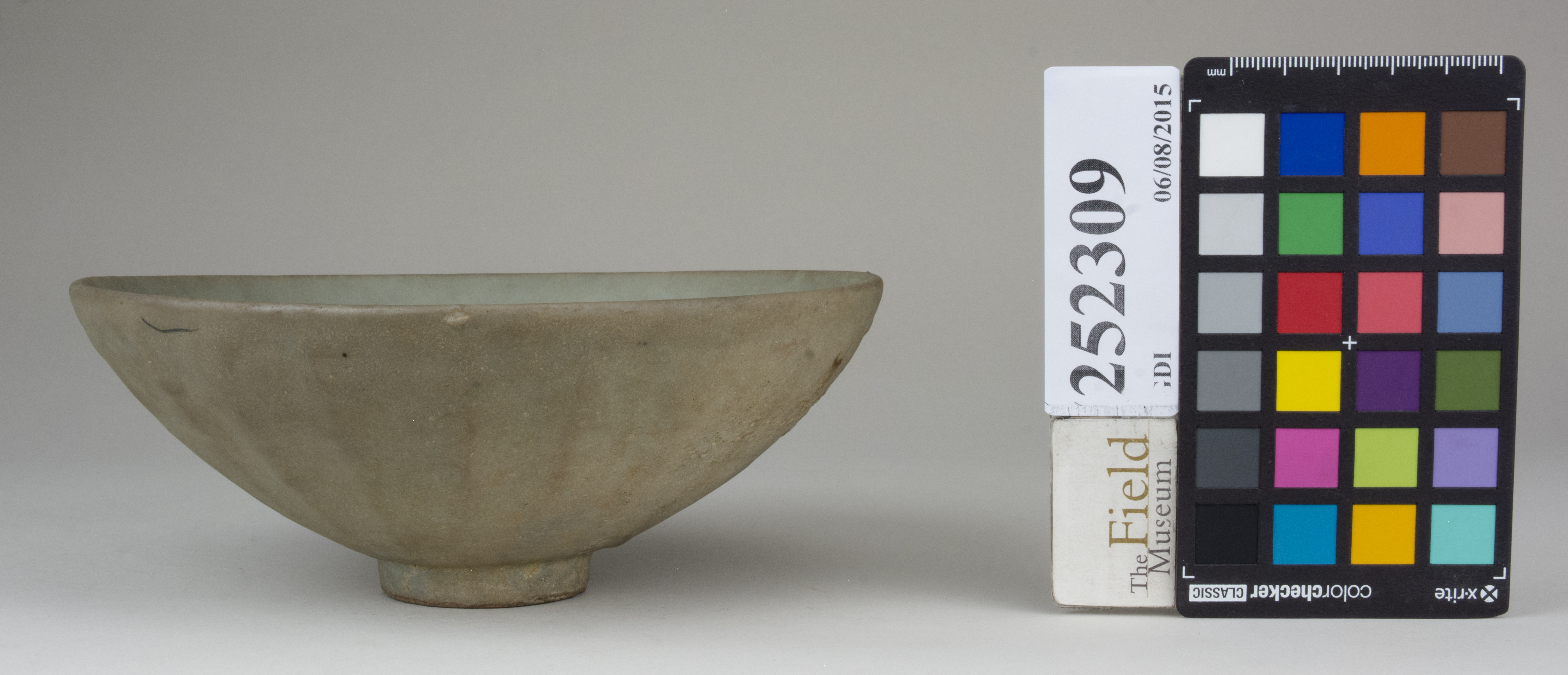 reference image, back 