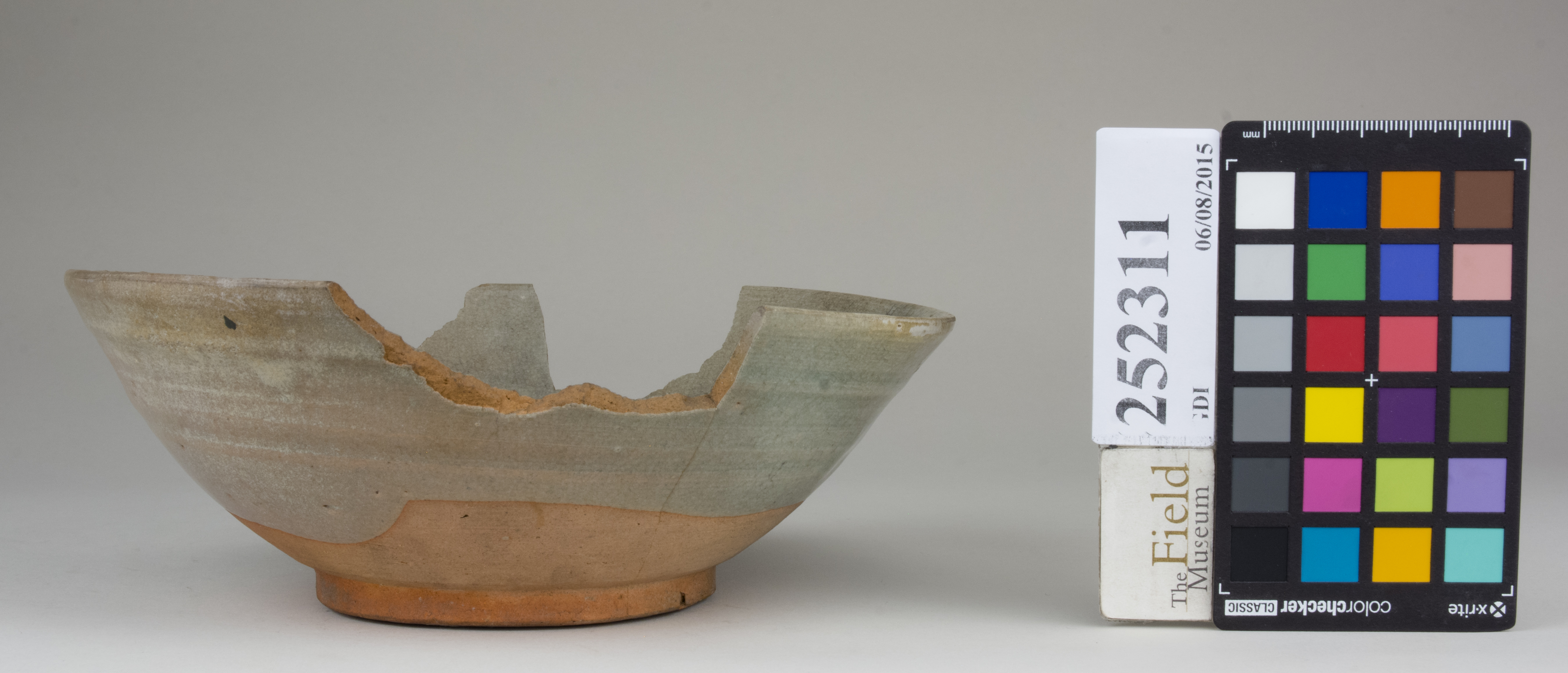 reference image, back 