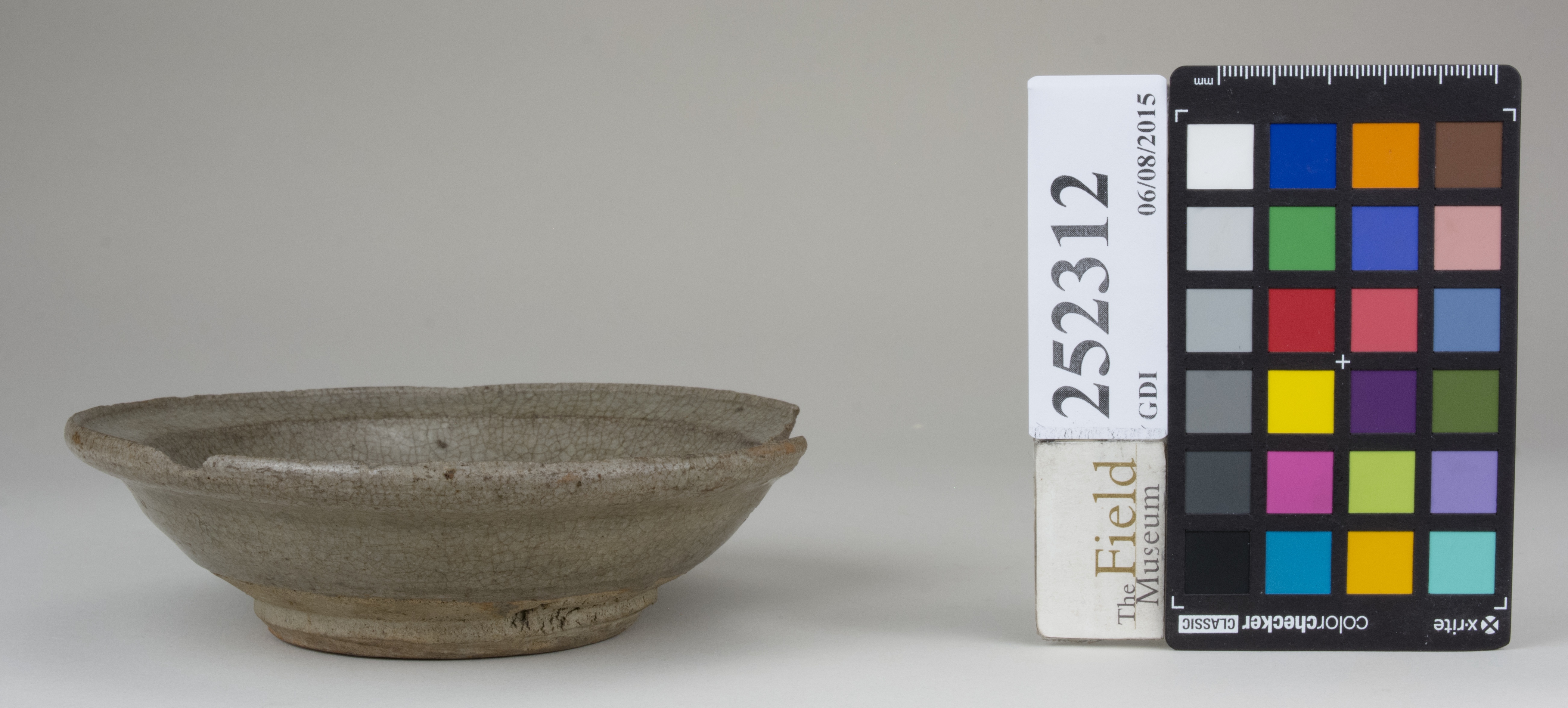 reference image, back 