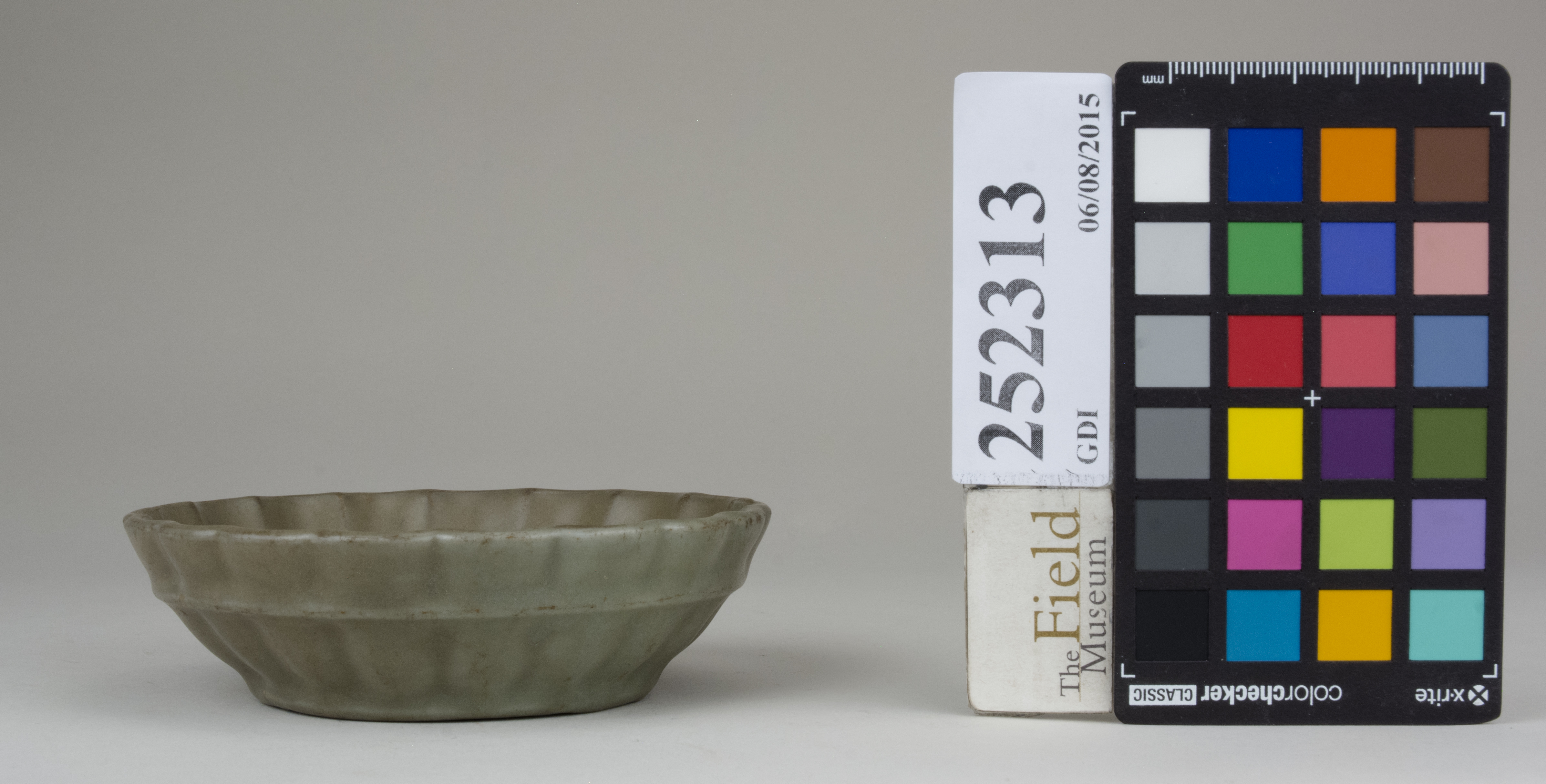 reference image, back 