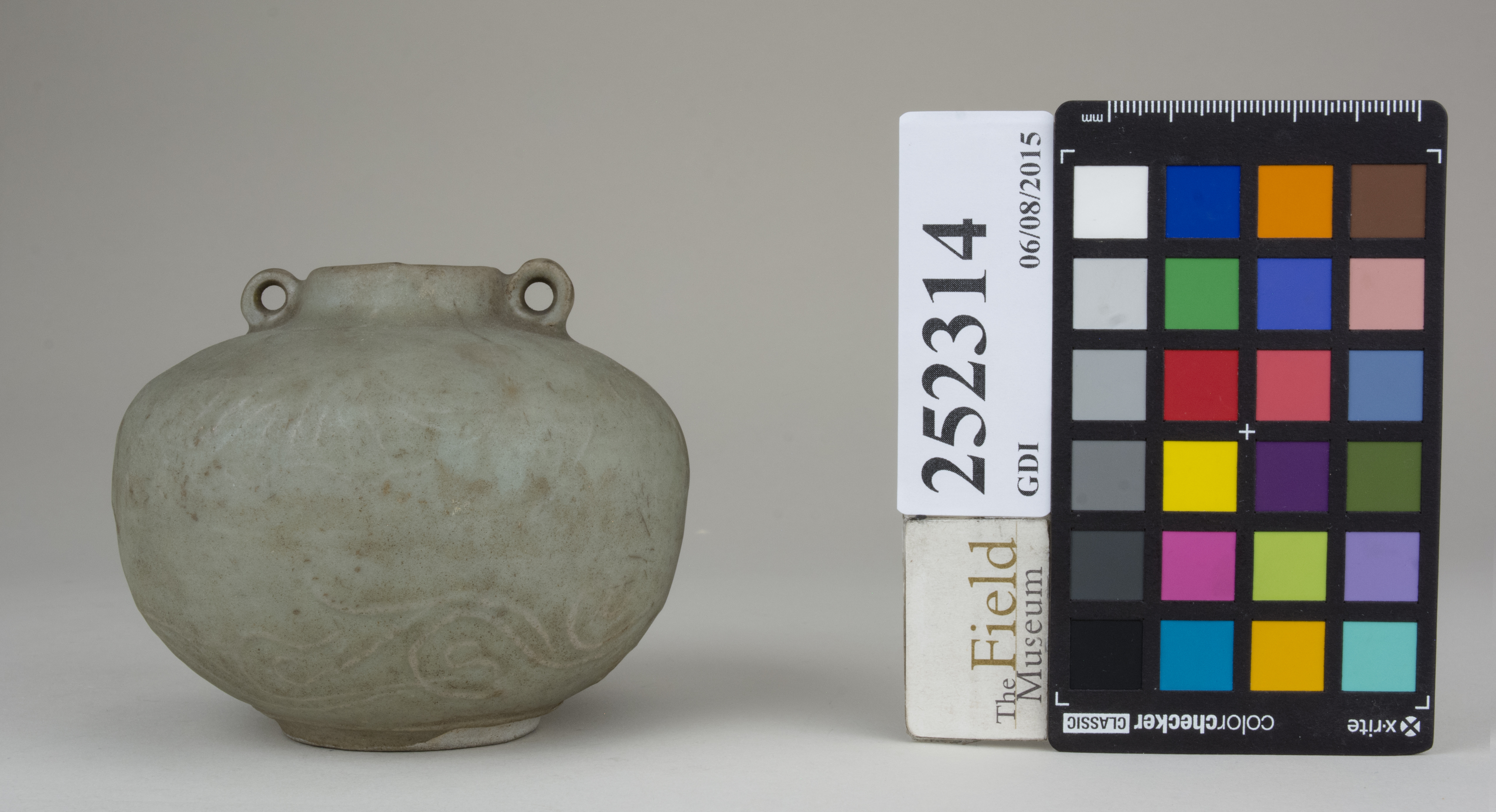 reference image, back 