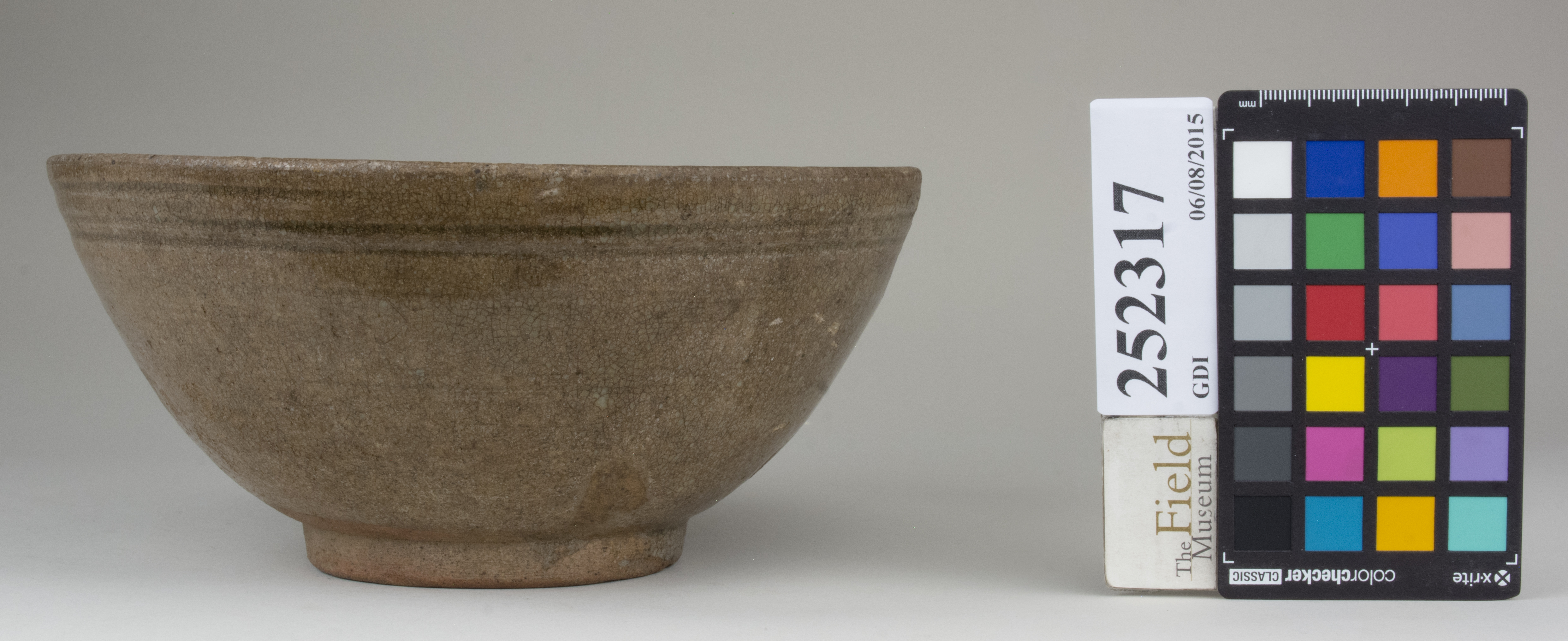 reference image, back 