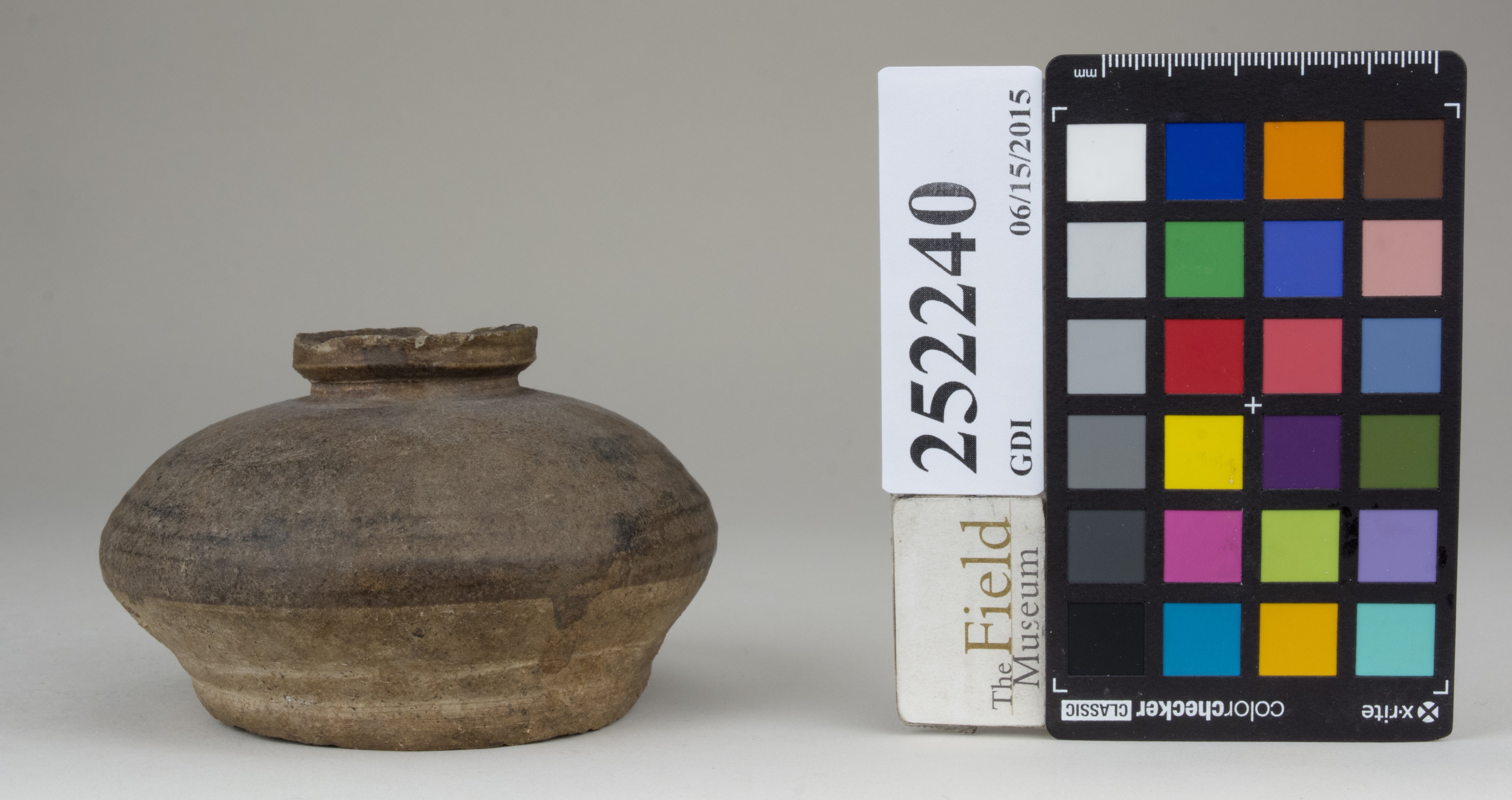 reference image, back 