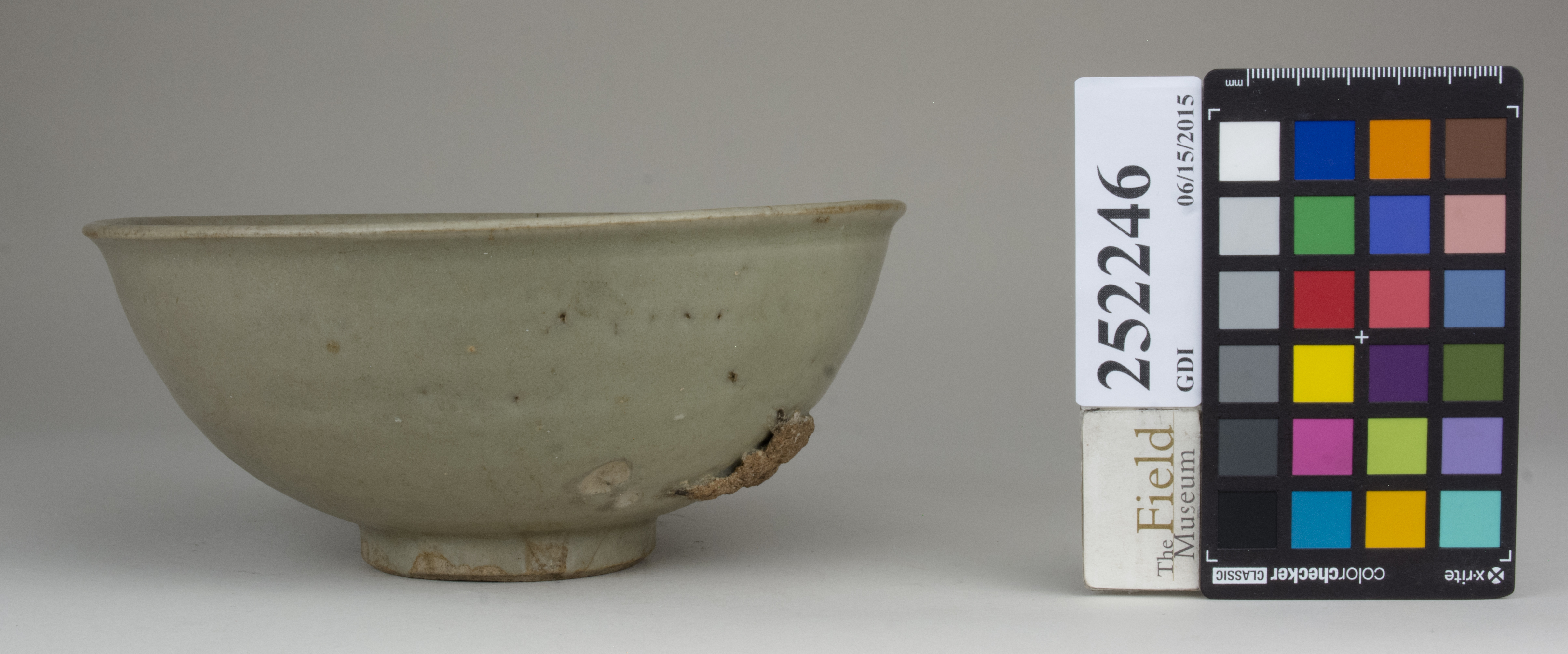 reference image, back 