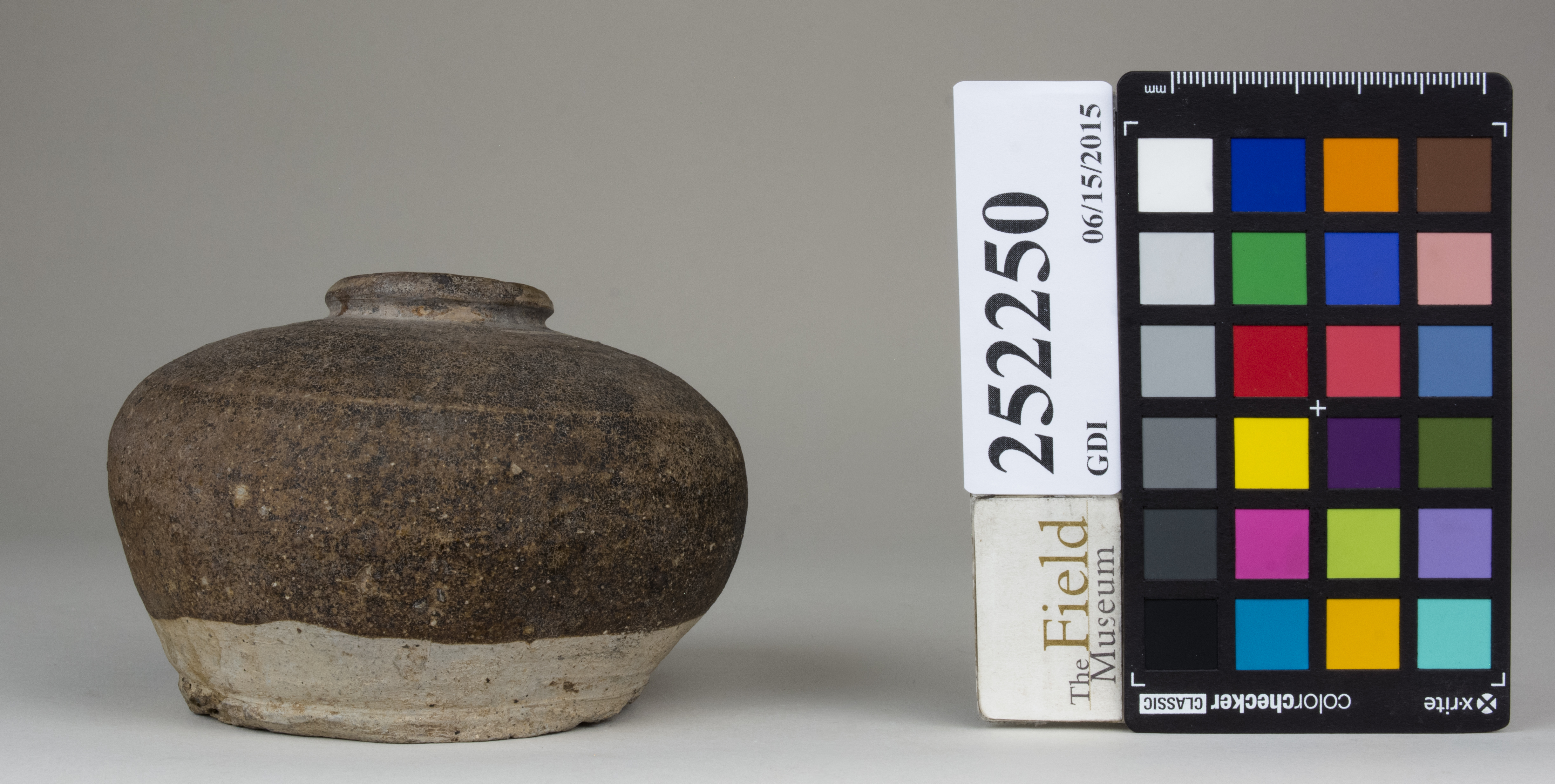 reference image, back 