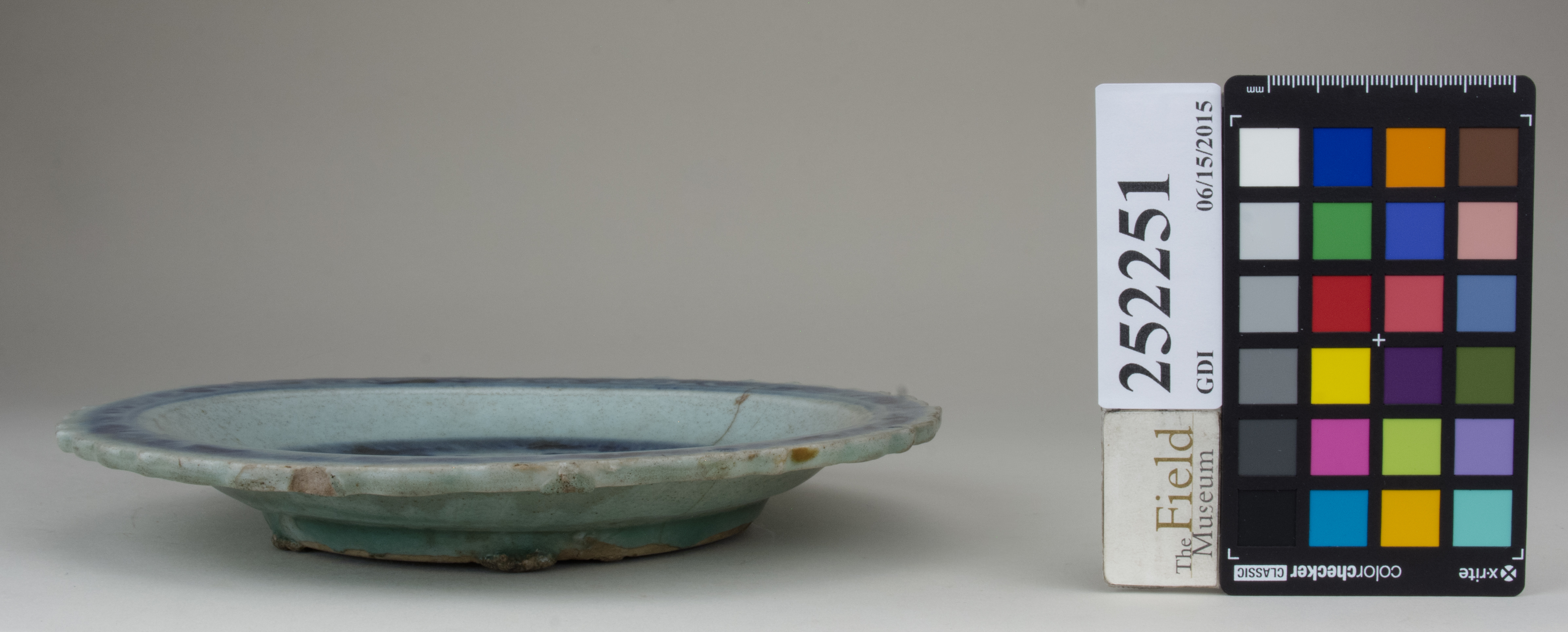 reference image, back 