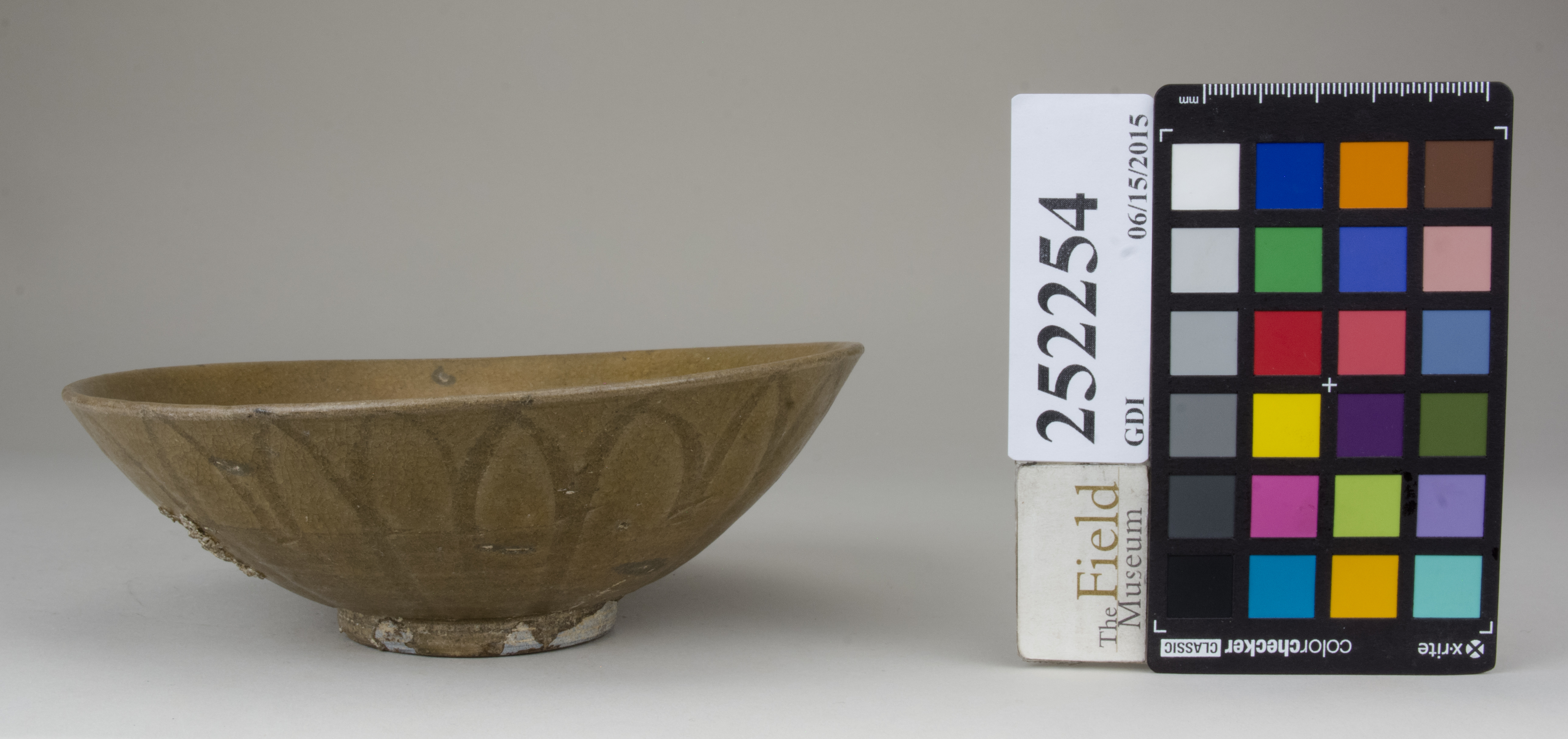 reference image, back 