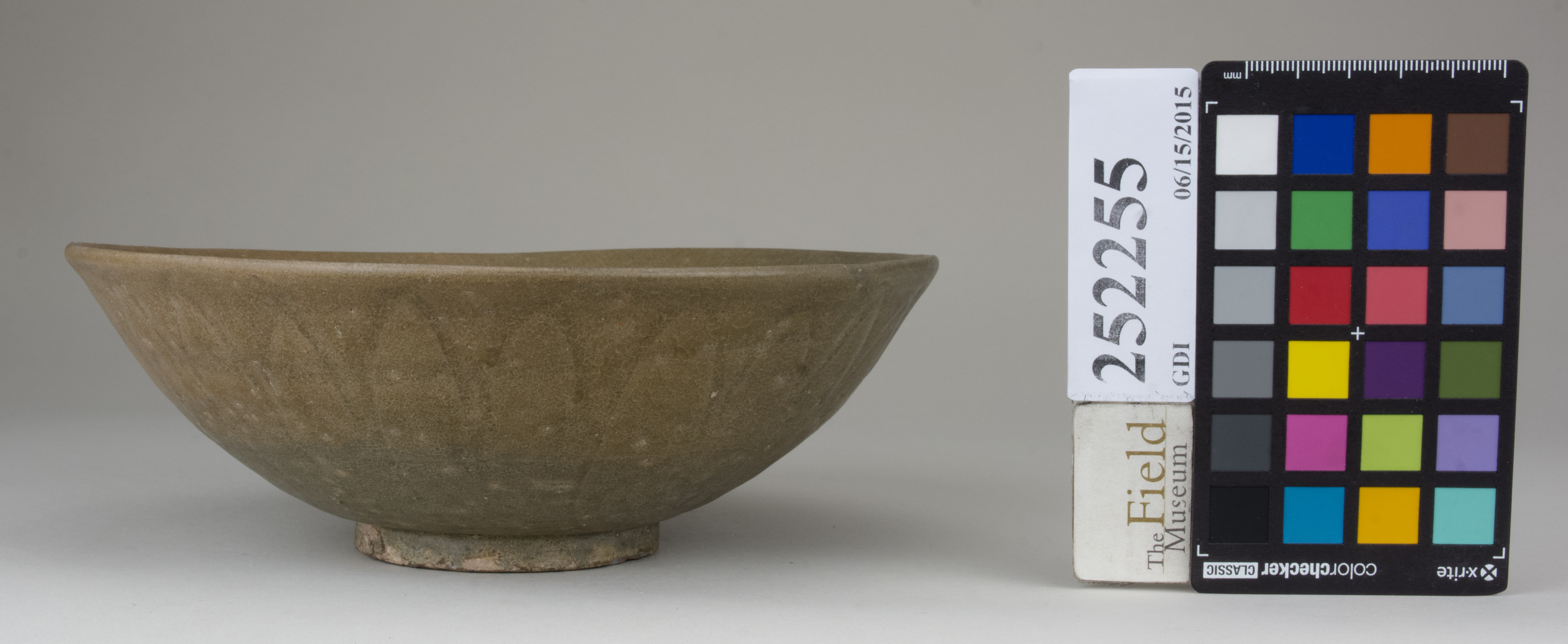 reference image, back 