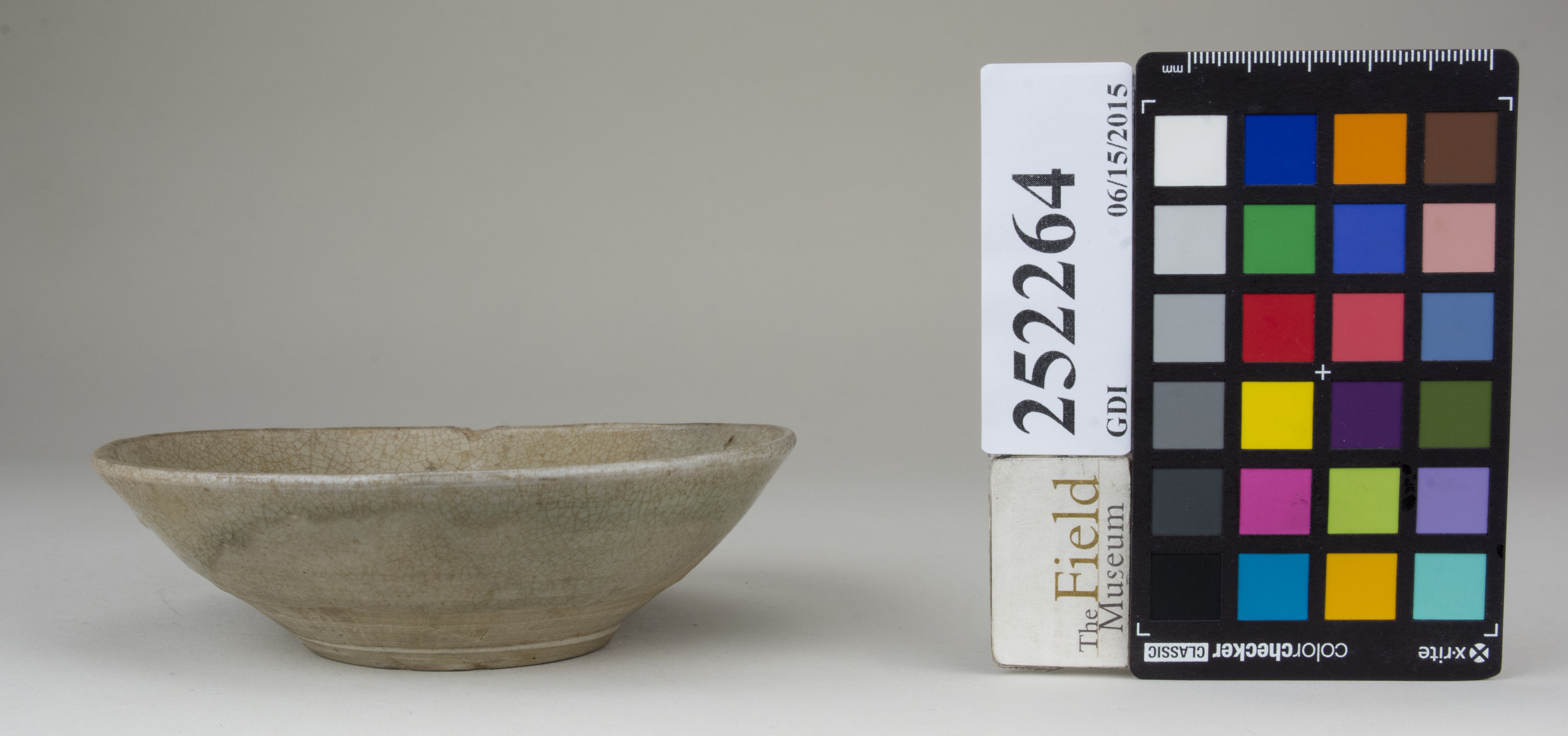 reference image, back 