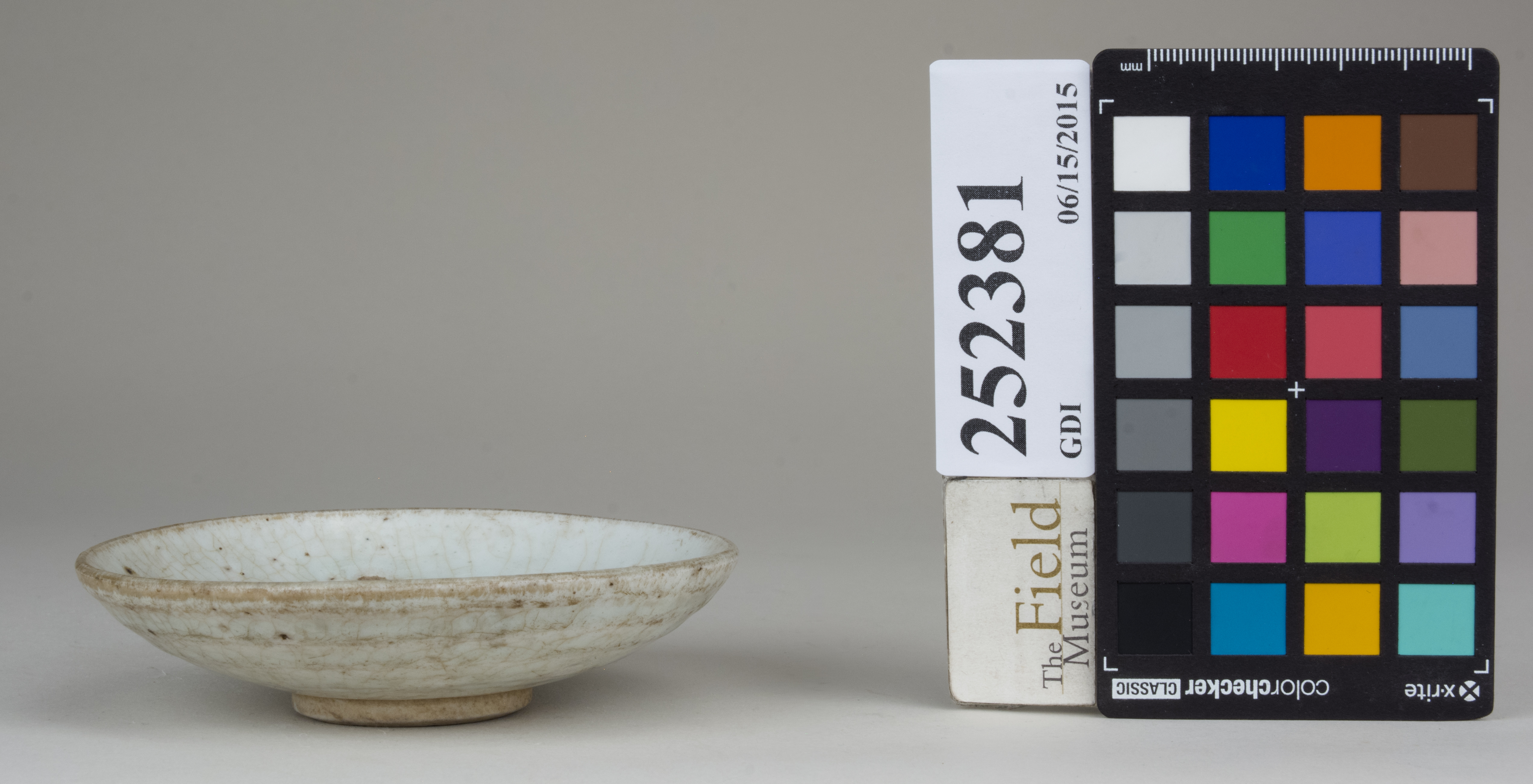 reference image, back 