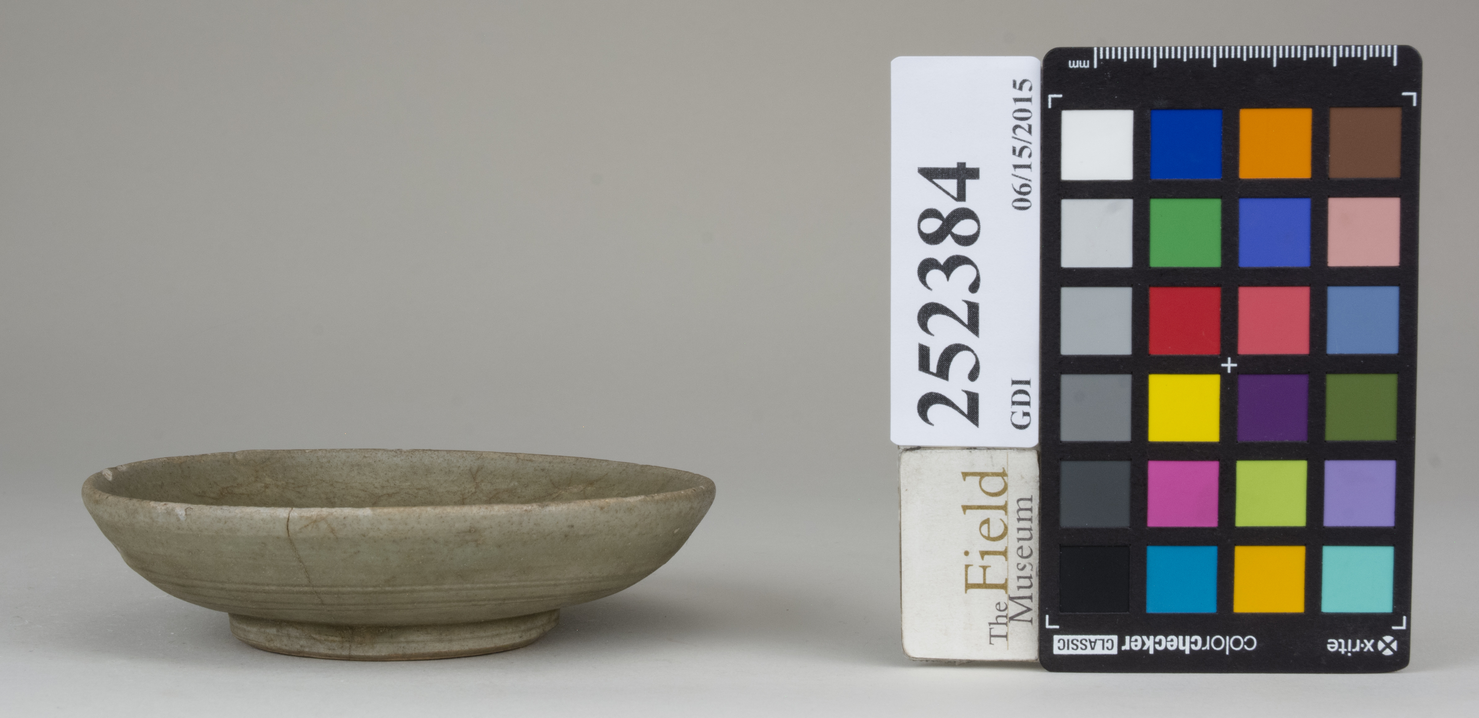 reference image, back 