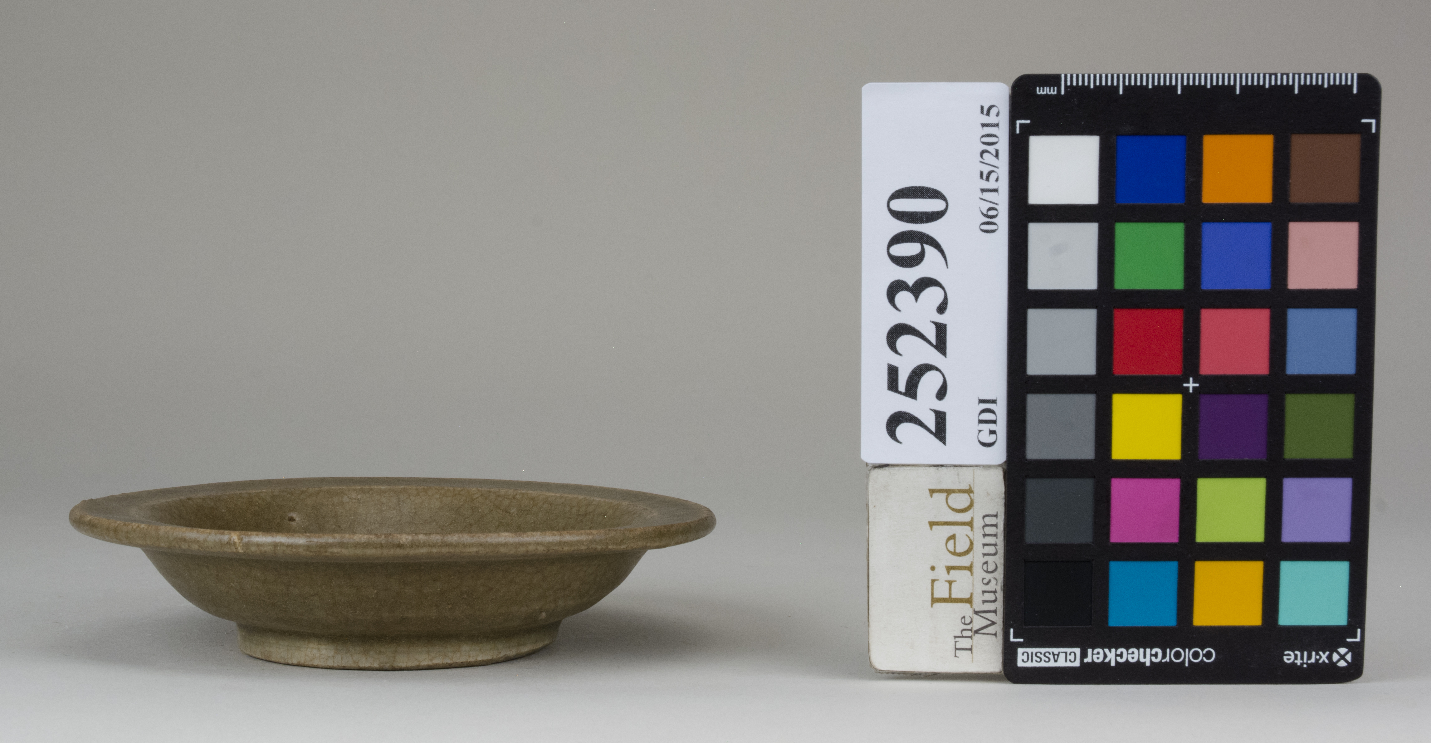 reference image, back 