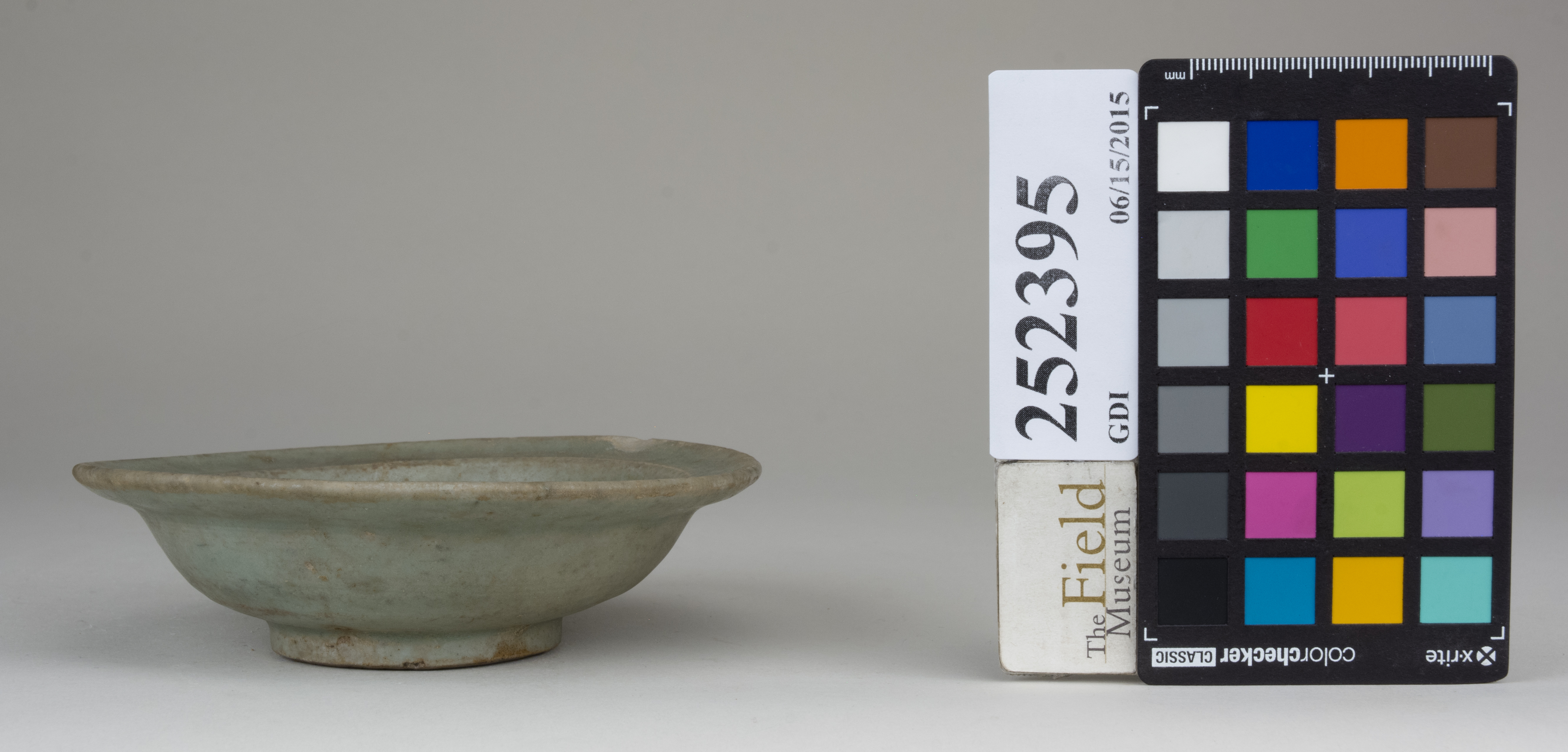 reference image, back 