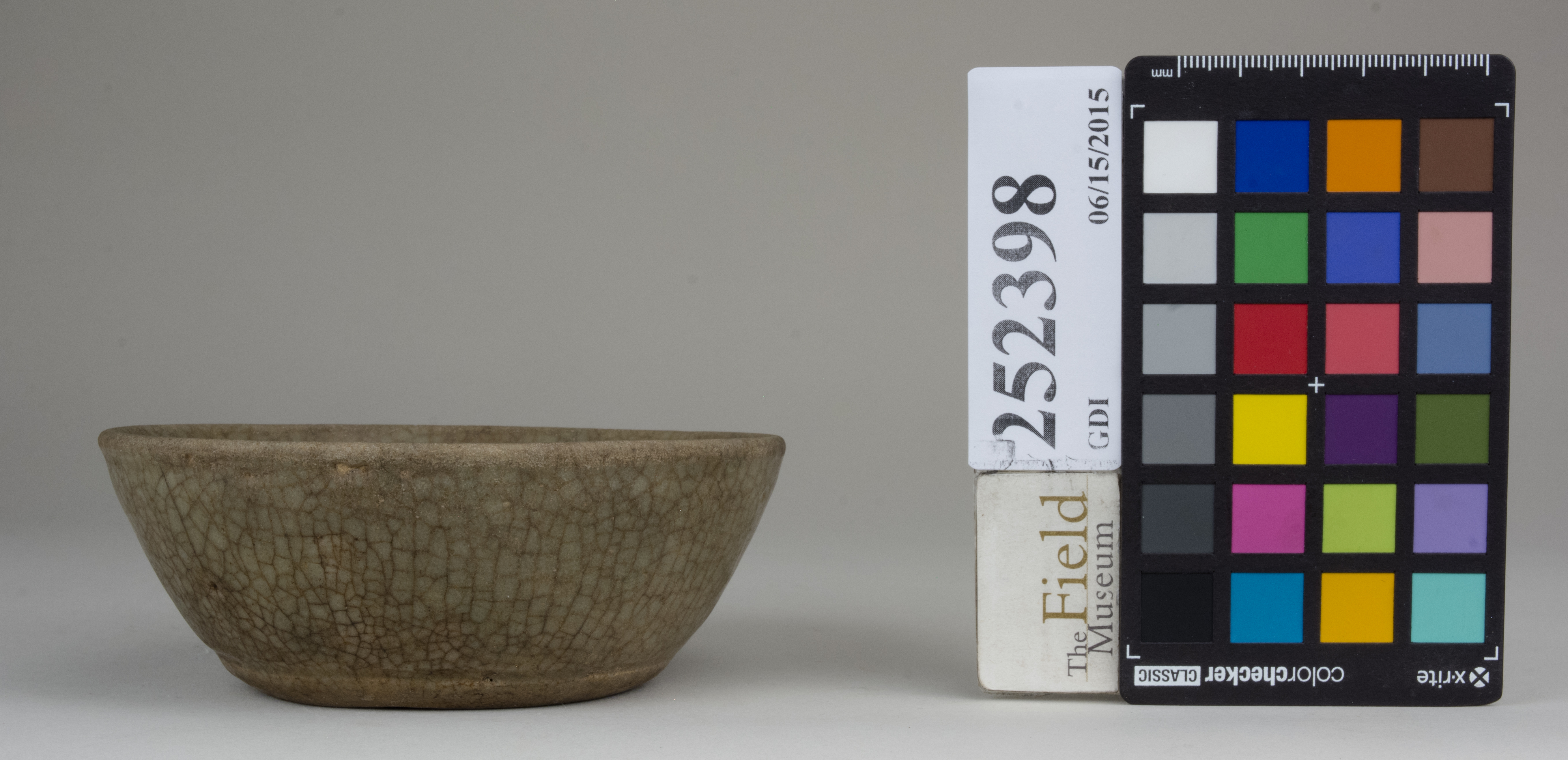 reference image, back 