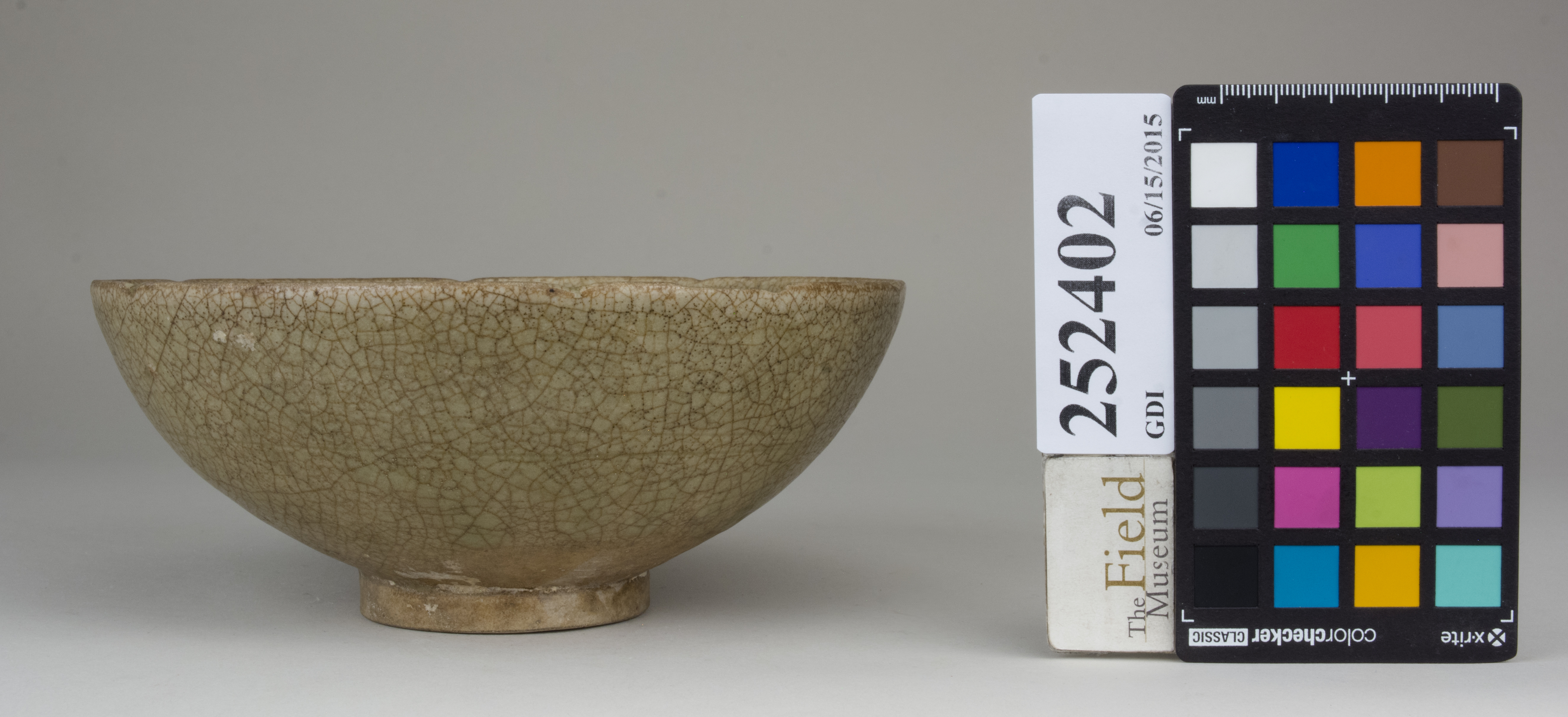 reference image, back 