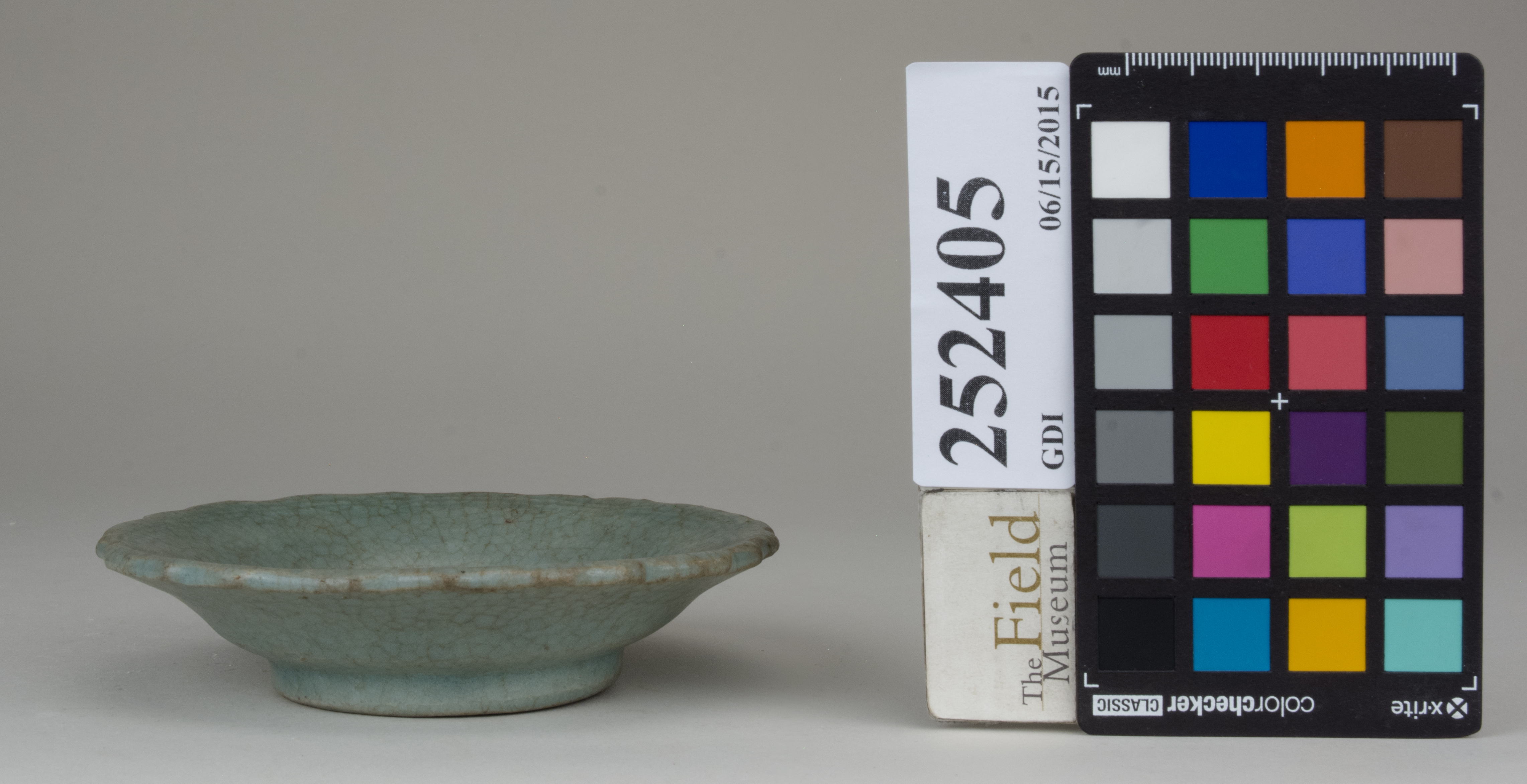 reference image, back 