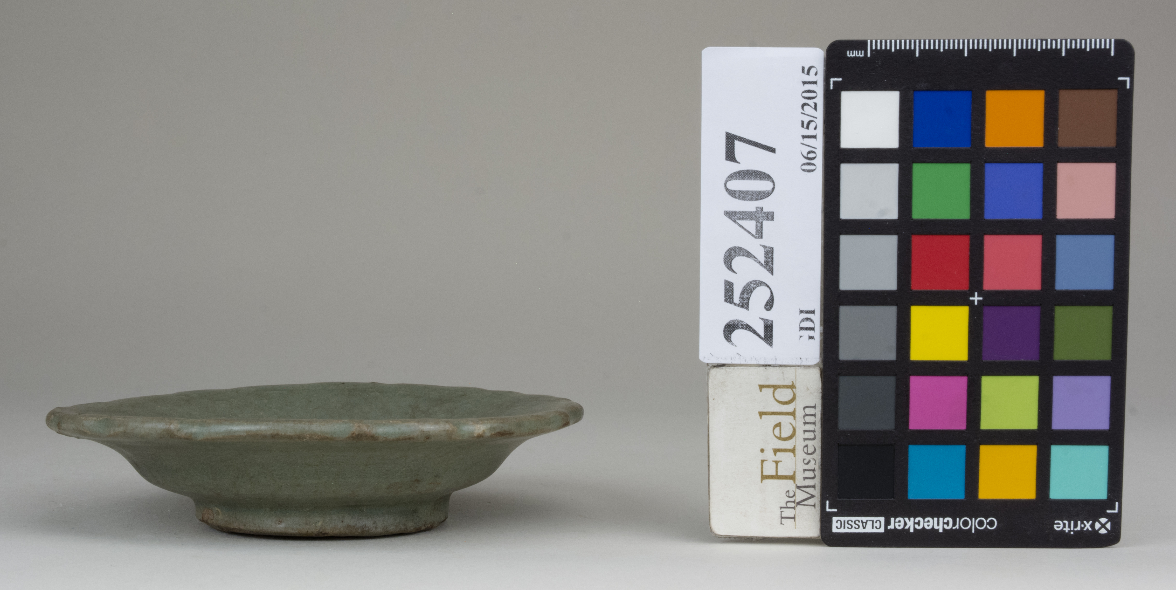 reference image, back 