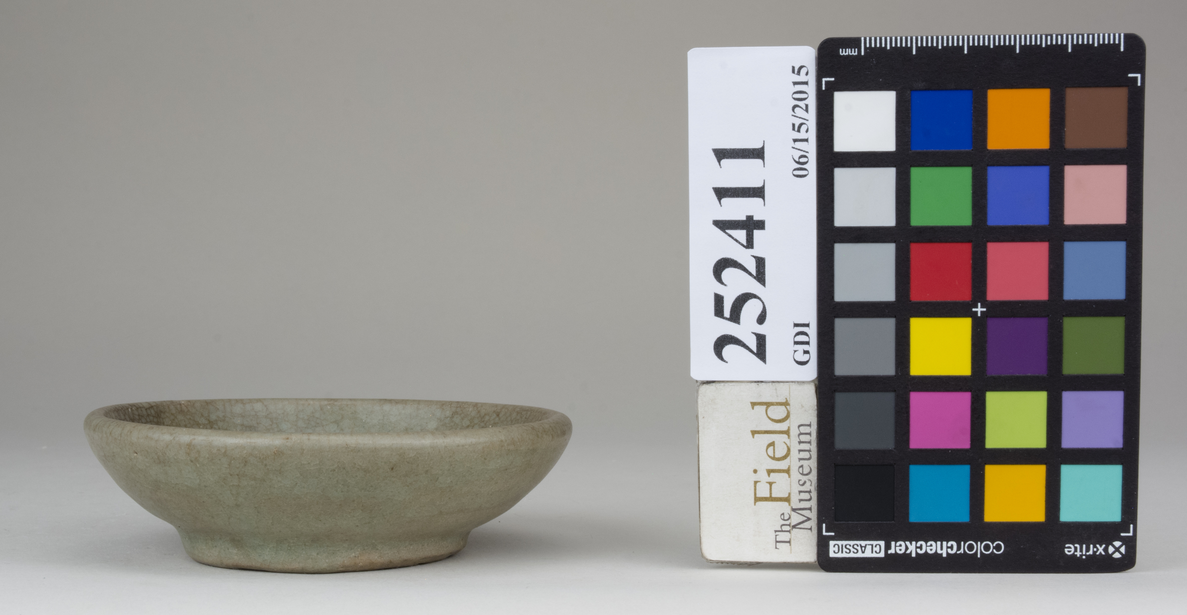 reference image, back 