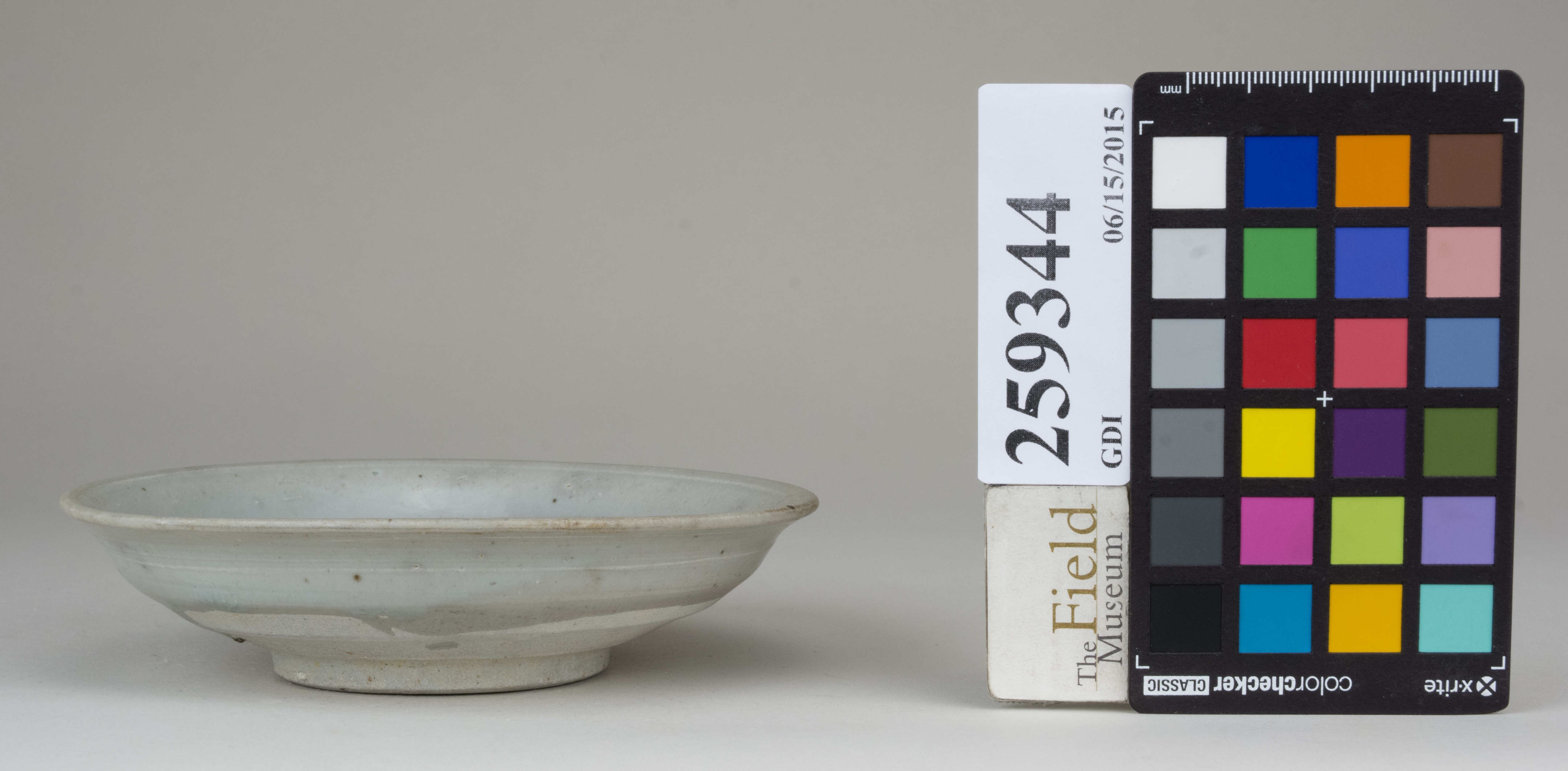 reference image, back 