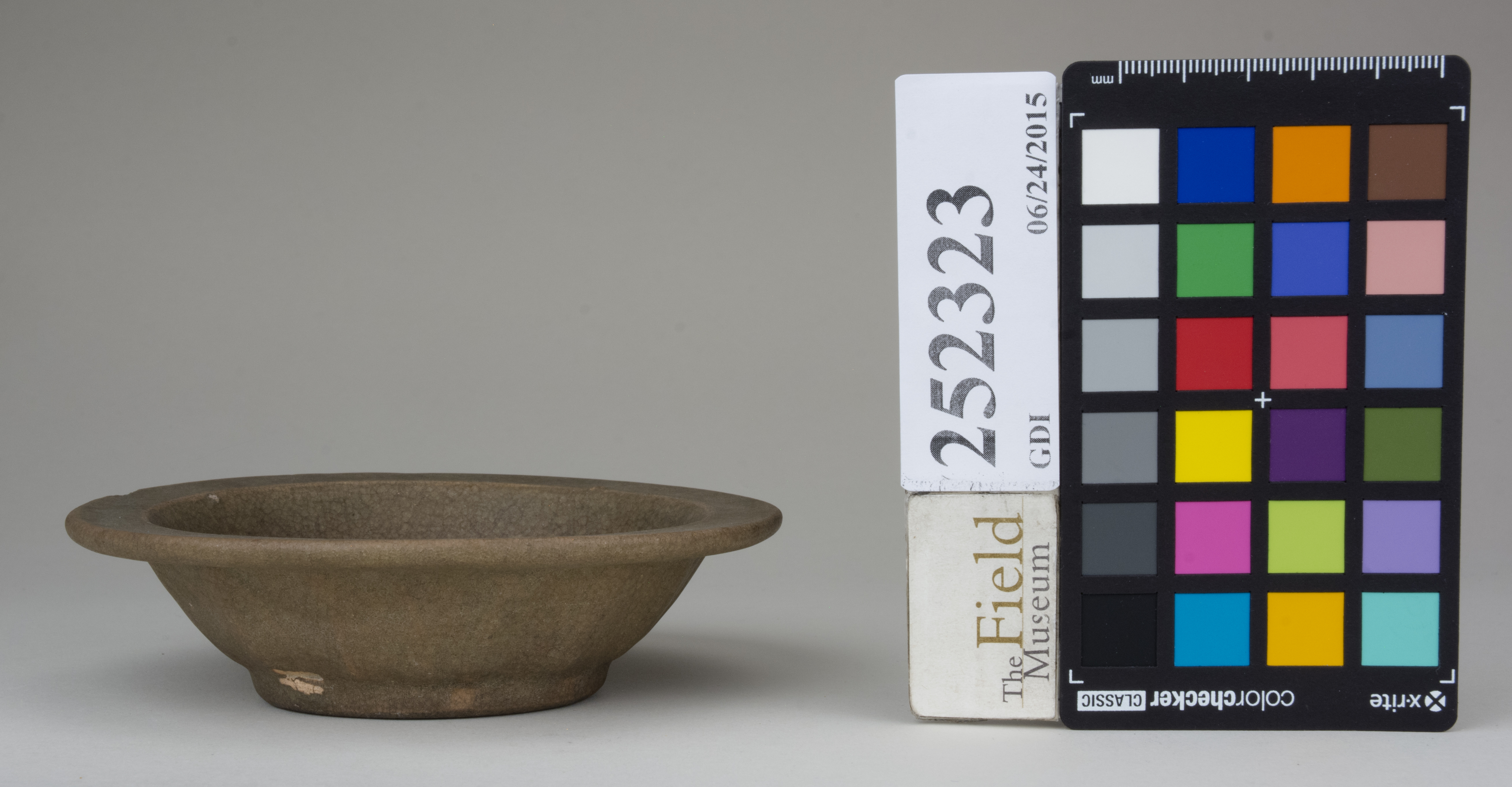 reference image, back 